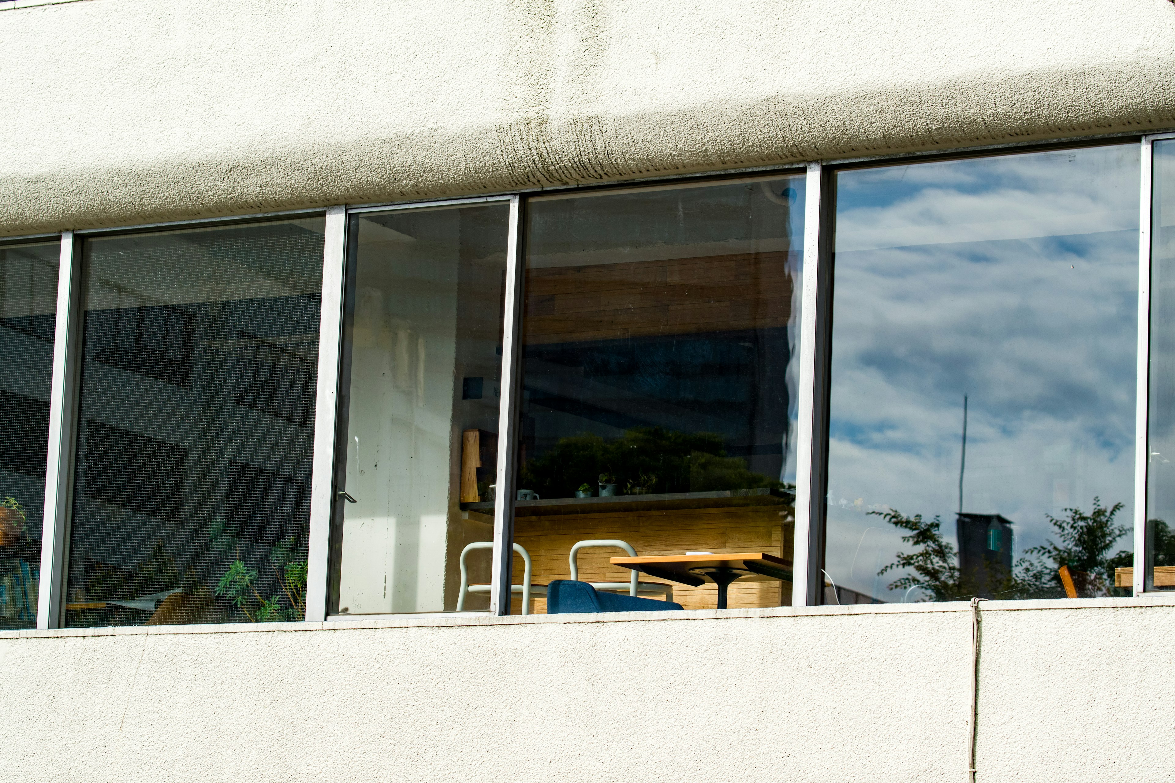 Exterior view of glass windows showcasing indoor furniture and plants