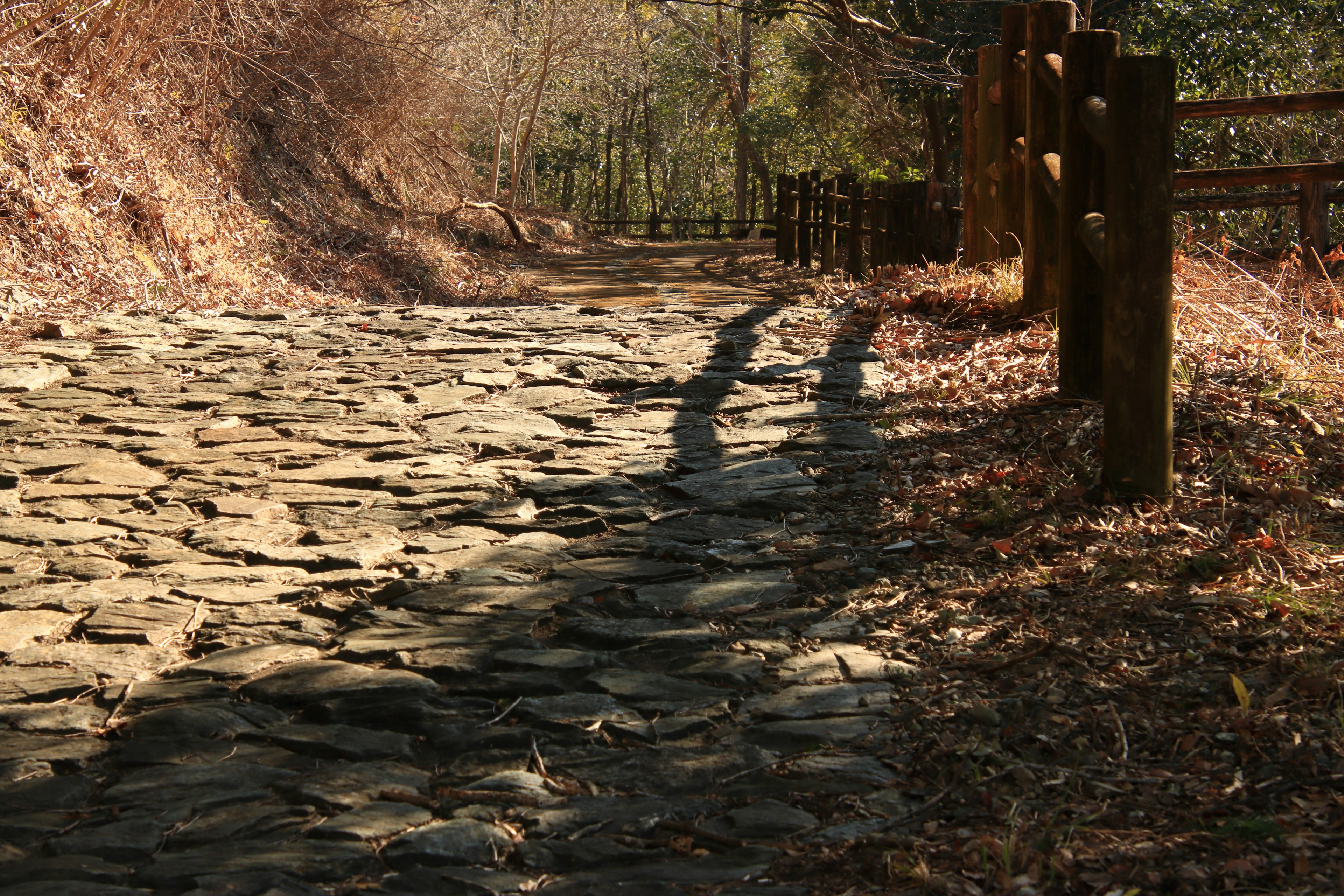 A stone-paved path with a wooden fence beside it