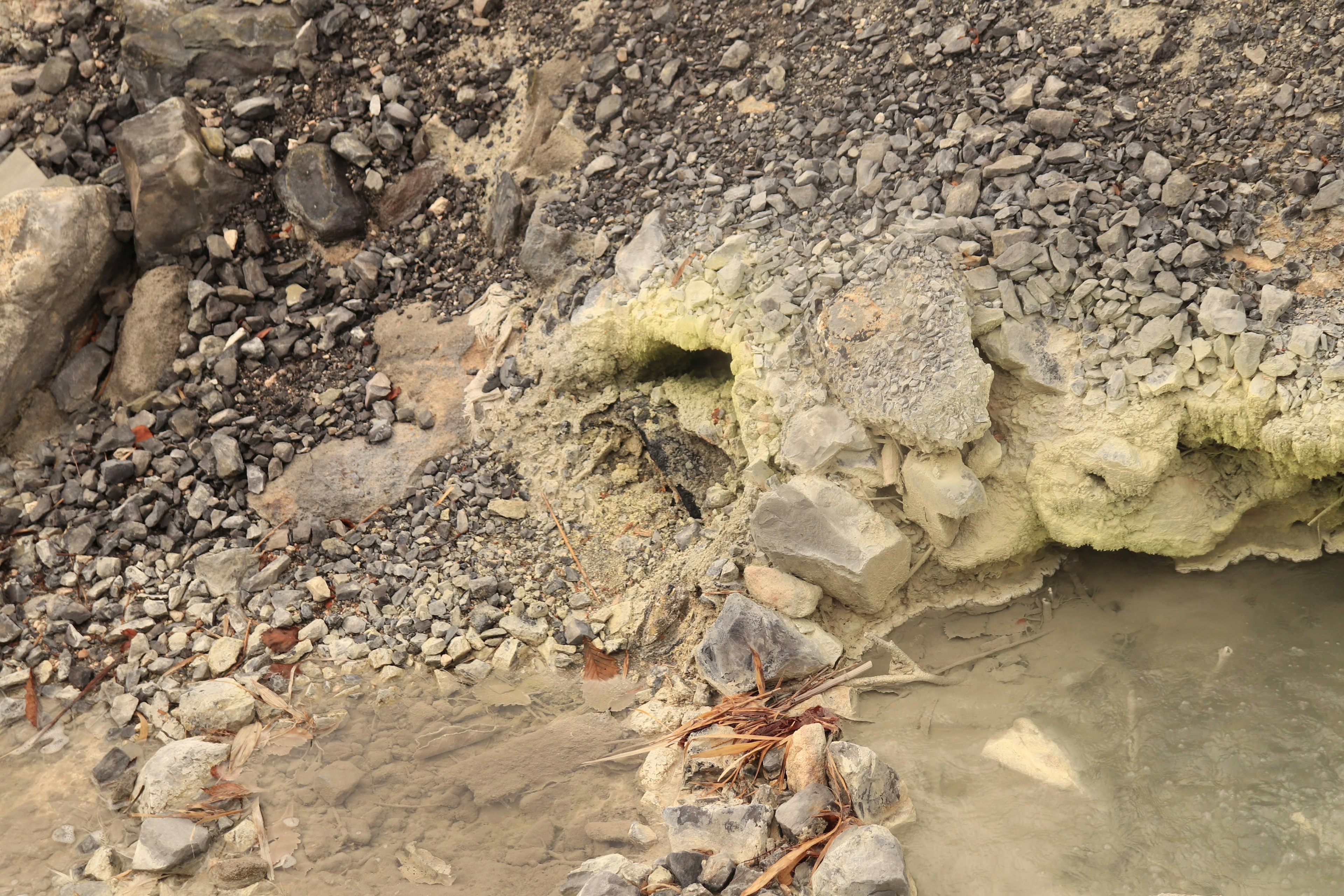 Une tortue se reposant près de l'eau sur une rive rocheuse