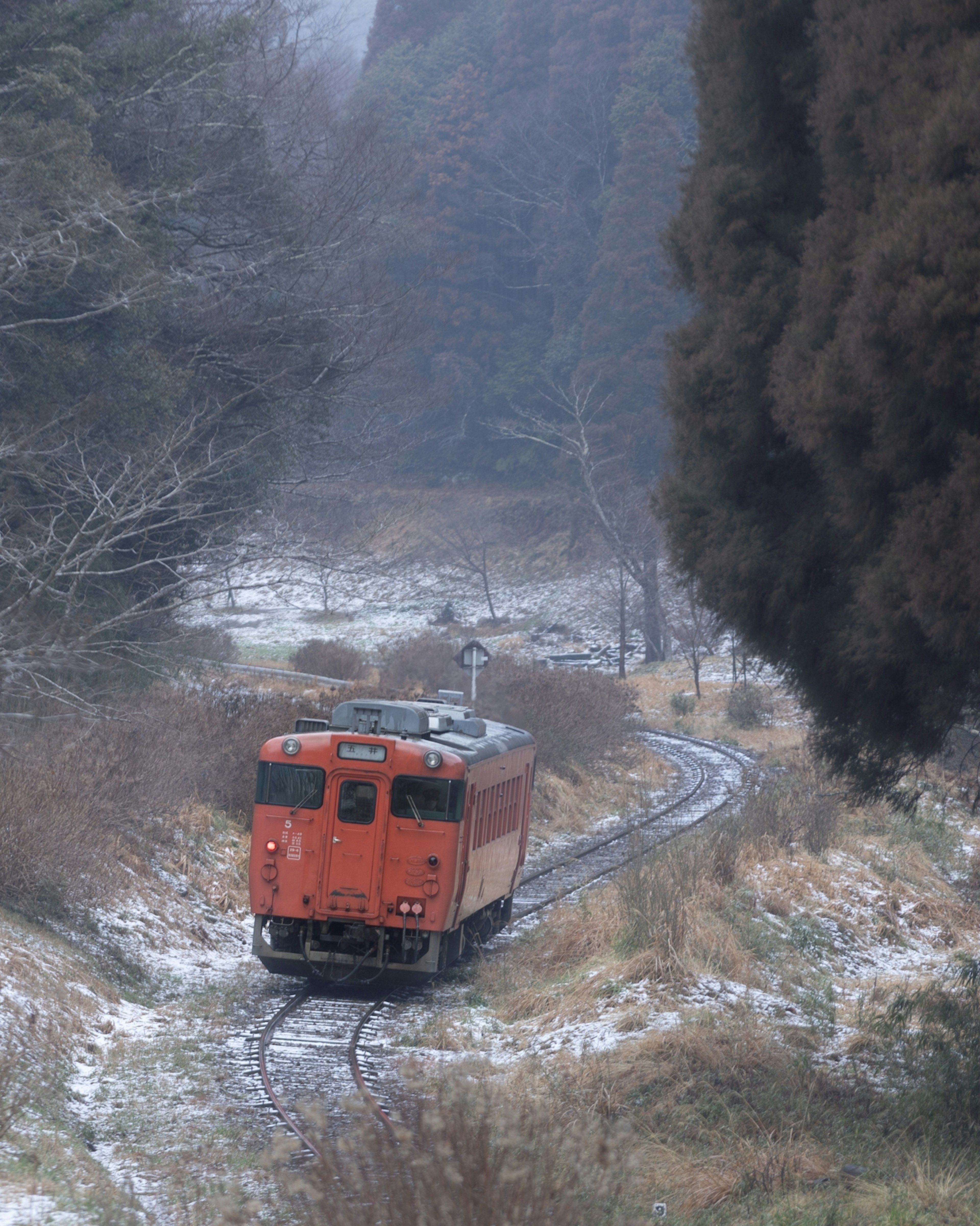 Orangefarbener Zug, der durch den Schnee mit umliegenden Bäumen fährt