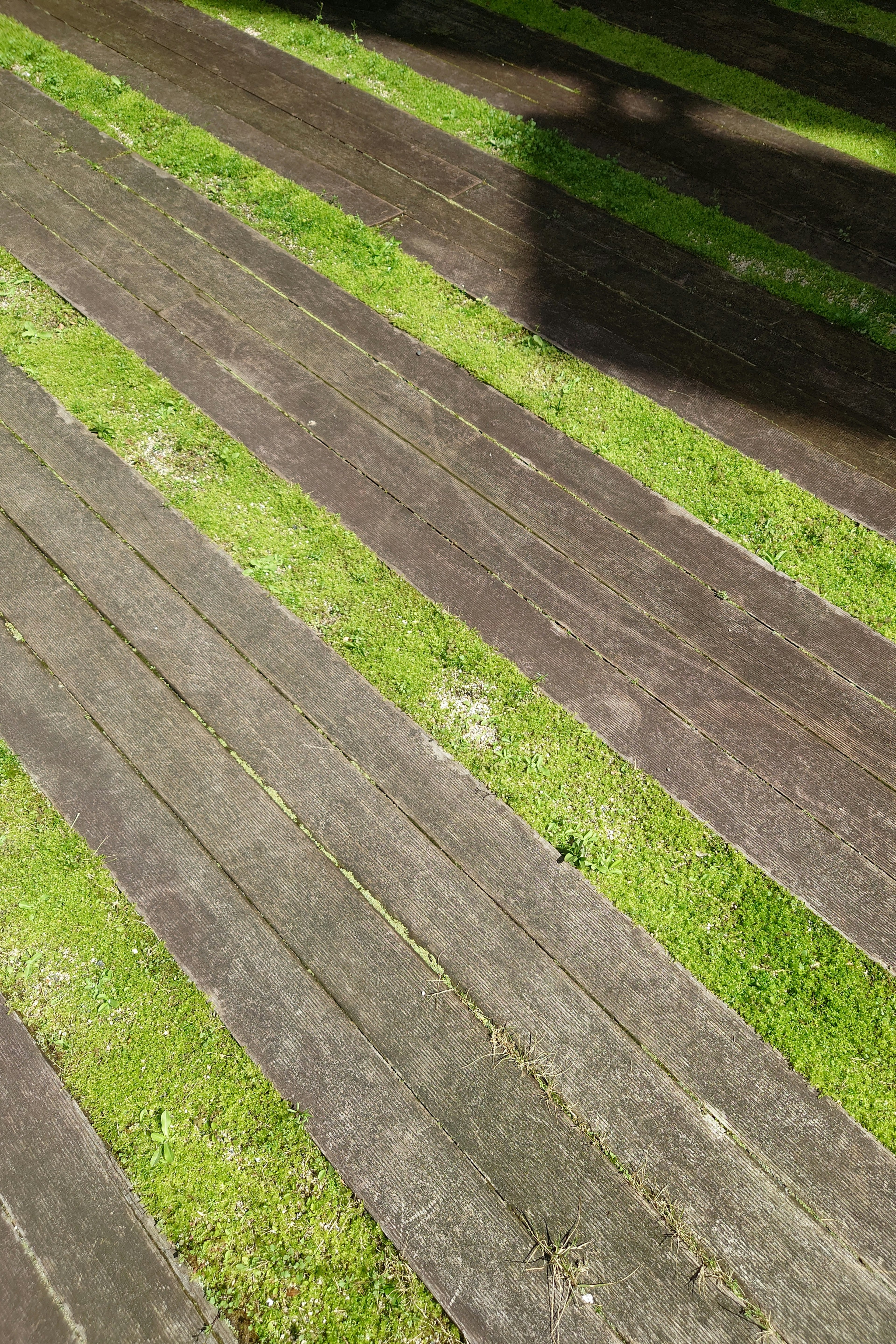 Striped pattern of green grass and wooden planks