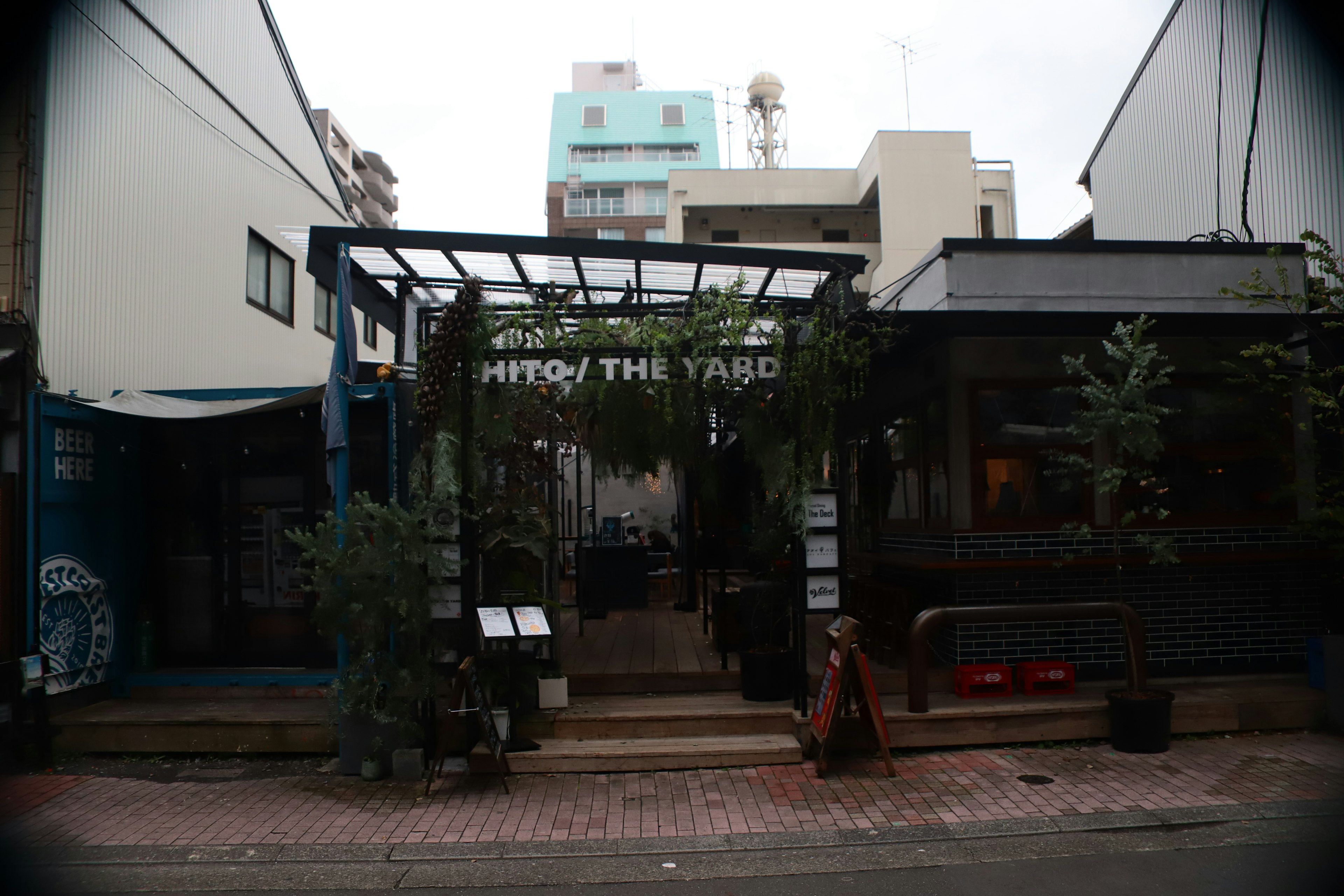 入口に緑の植物があるカフェの外観