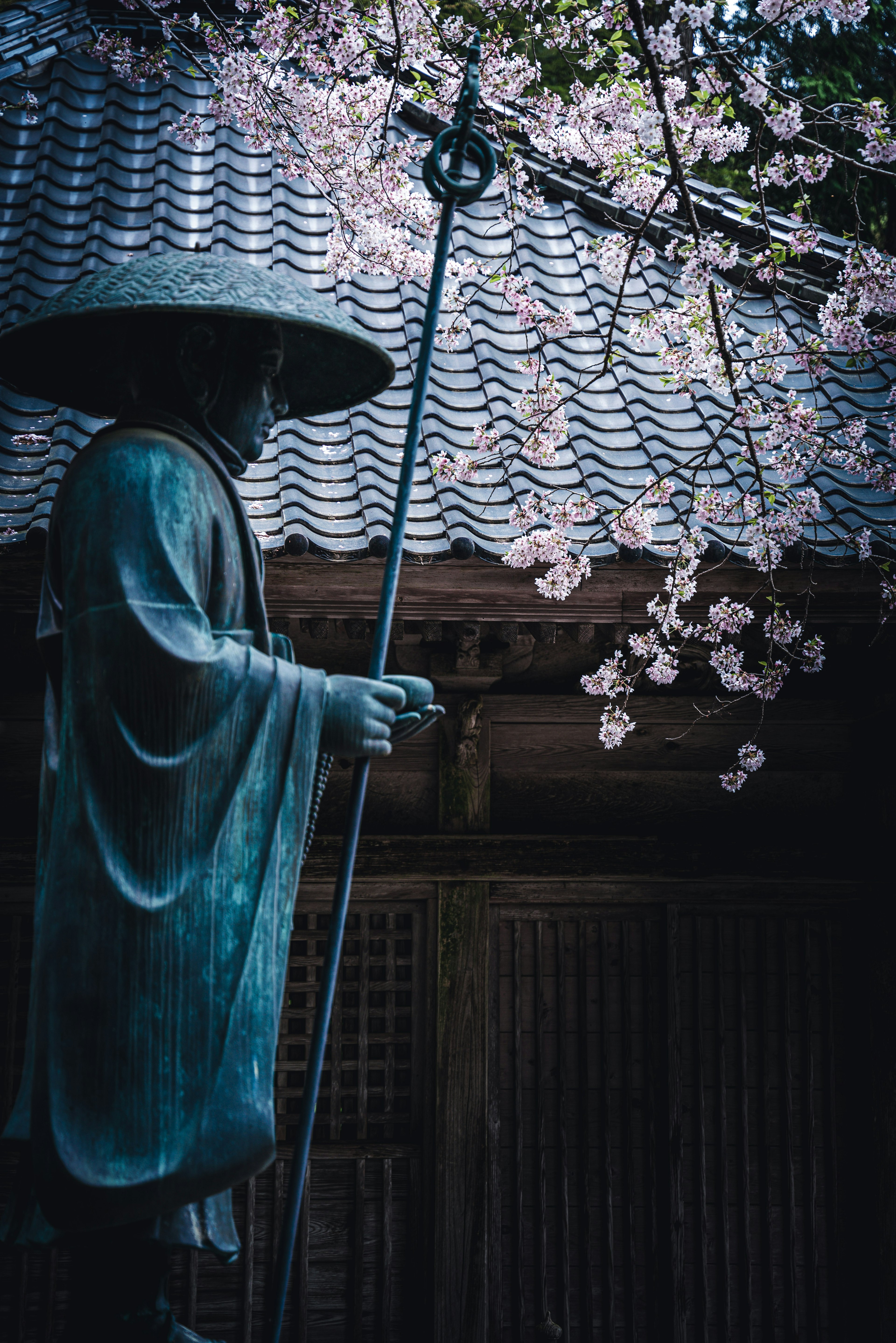 A bronze statue of a monk holding a staff under cherry blossom trees