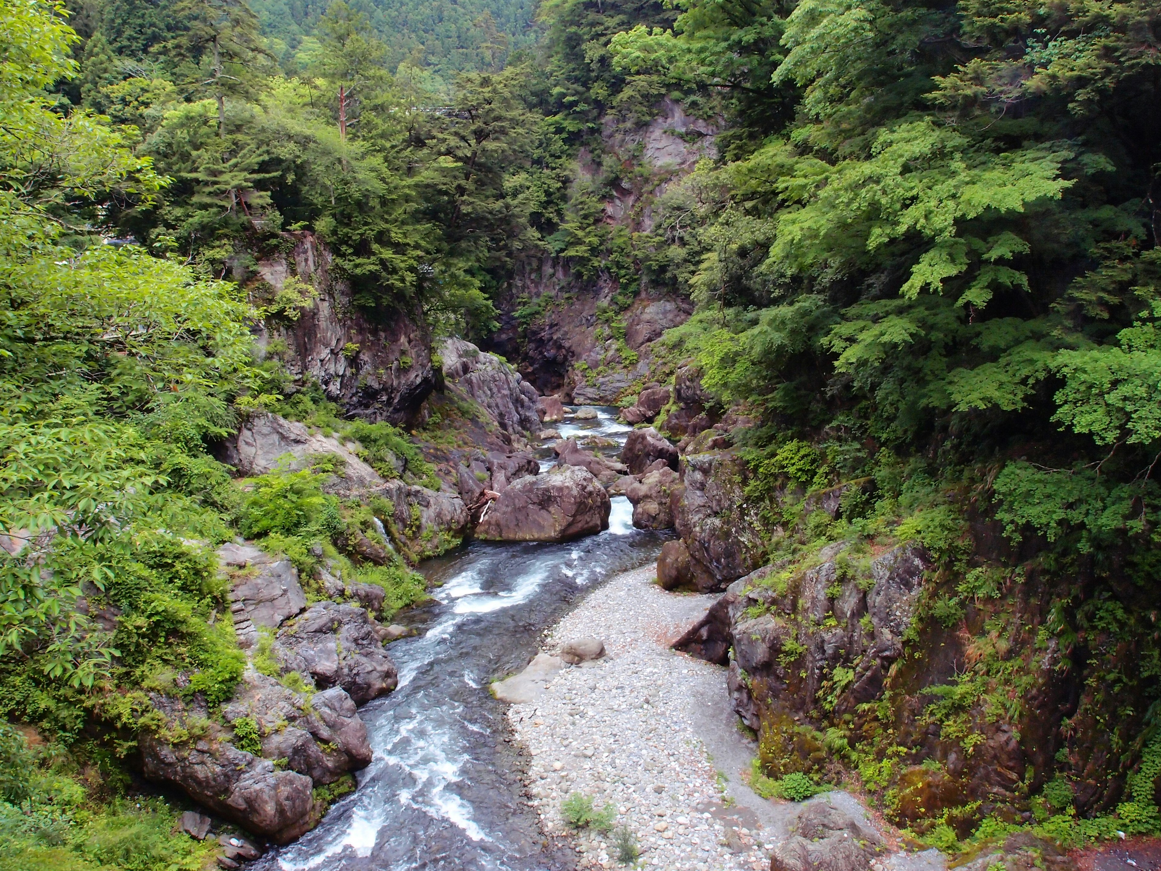 Pemandangan indah dengan sungai kecil dan batu-batu dikelilingi pepohonan hijau