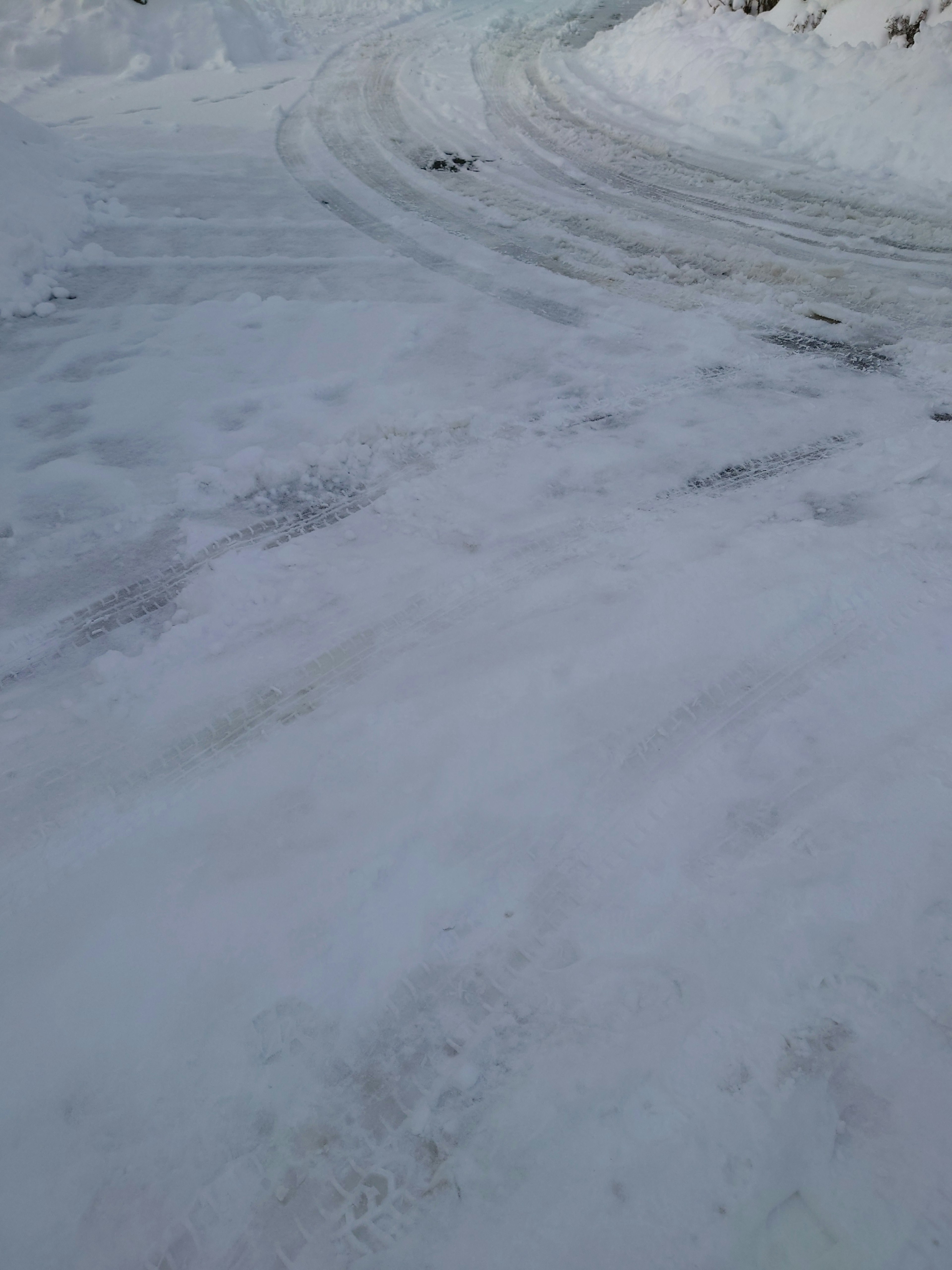 Snow-covered ground with tire tracks visible