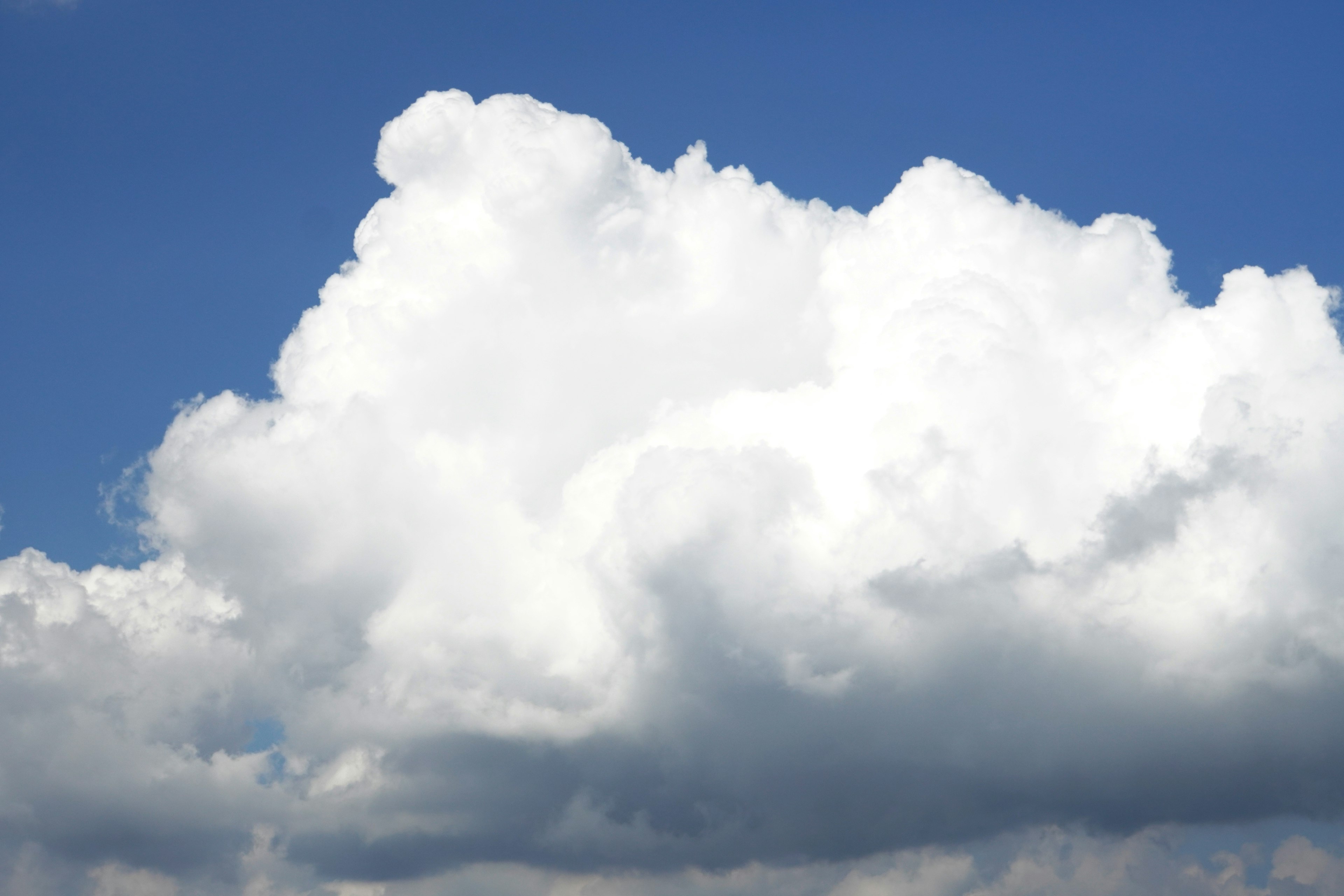 Awan putih berbulu di langit biru