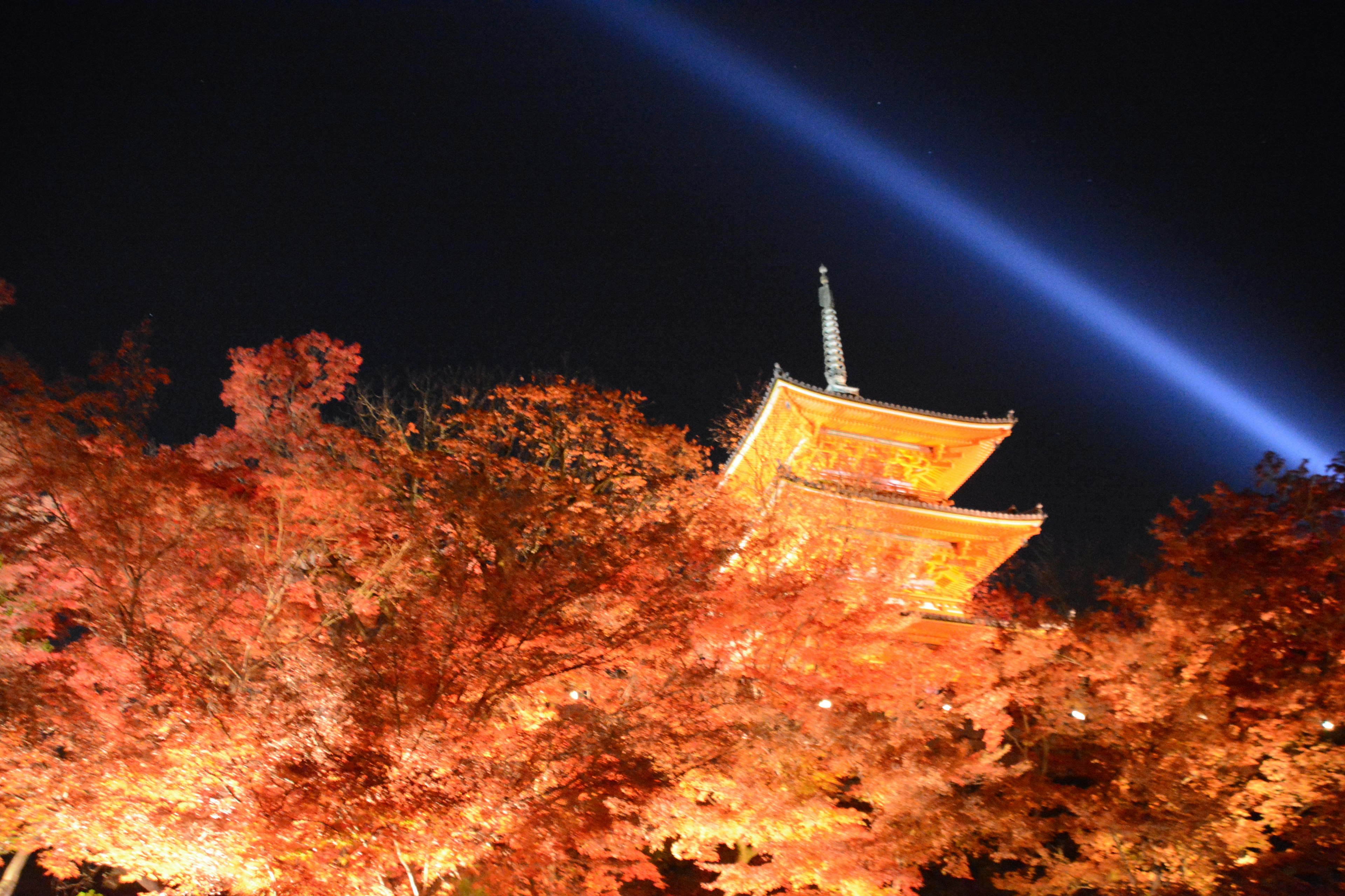 Beautiful illuminated temple with autumn leaves at night