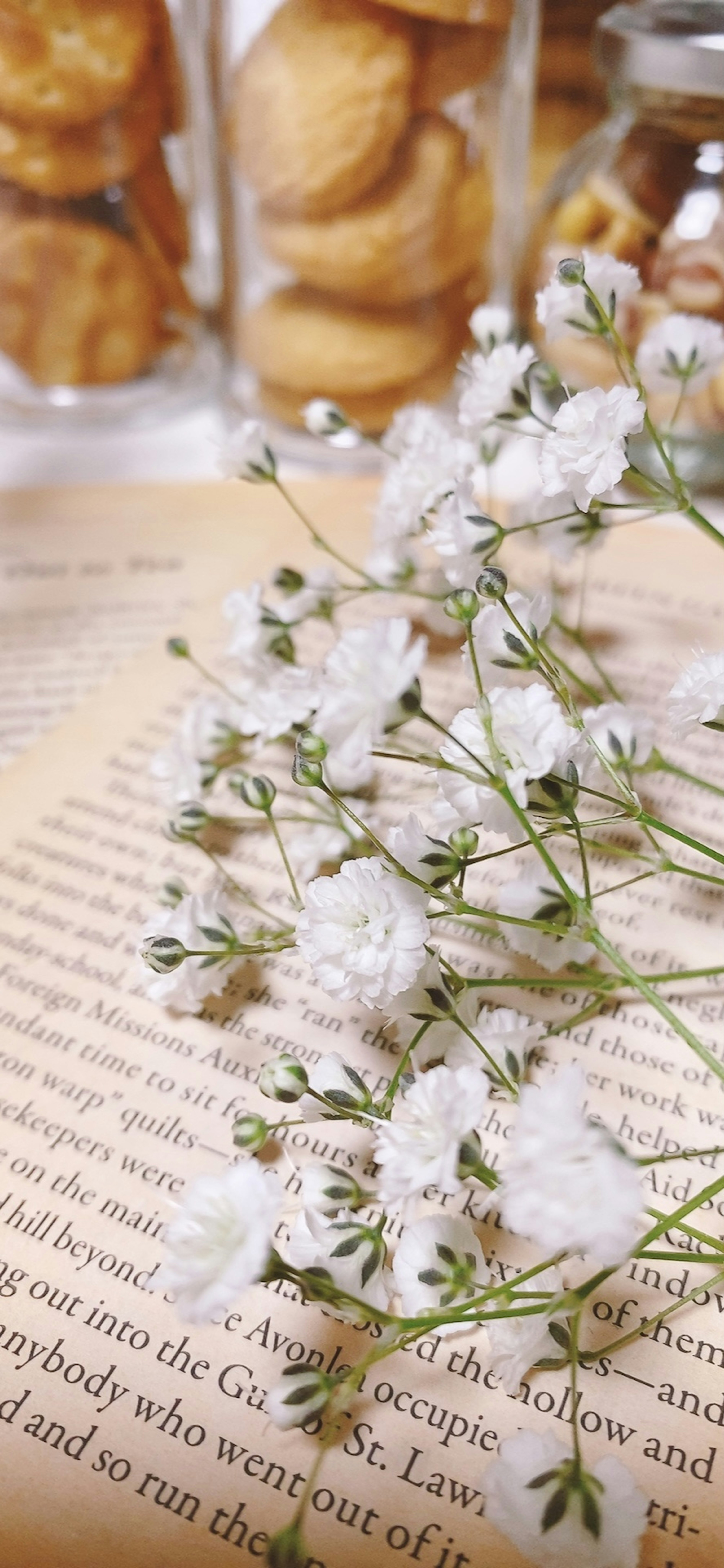 Flores blancas delicadas dispuestas sobre una página de libro abierta con galletas en tarros