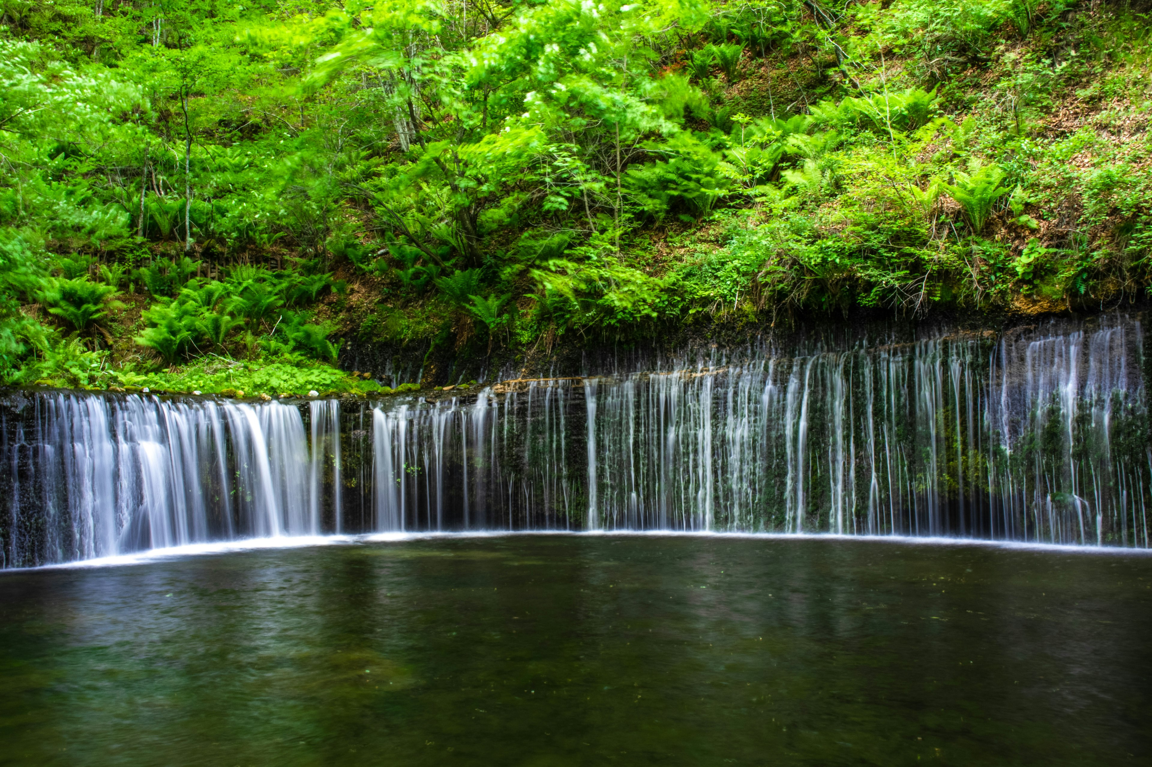 Pemandangan indah dengan air terjun yang mengalir di tengah pepohonan hijau