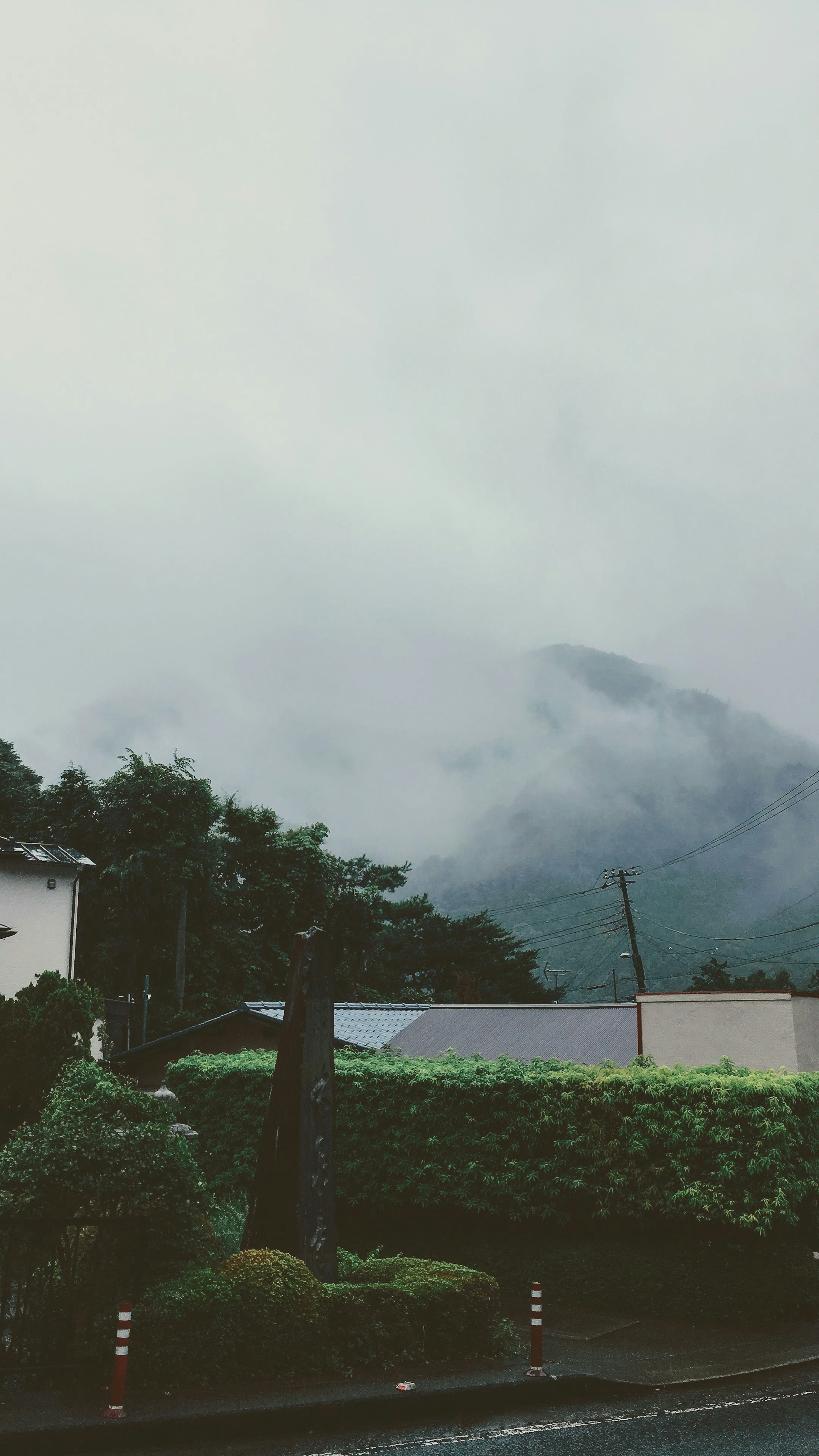 霧氣籠罩的山脈與寧靜的住宅區