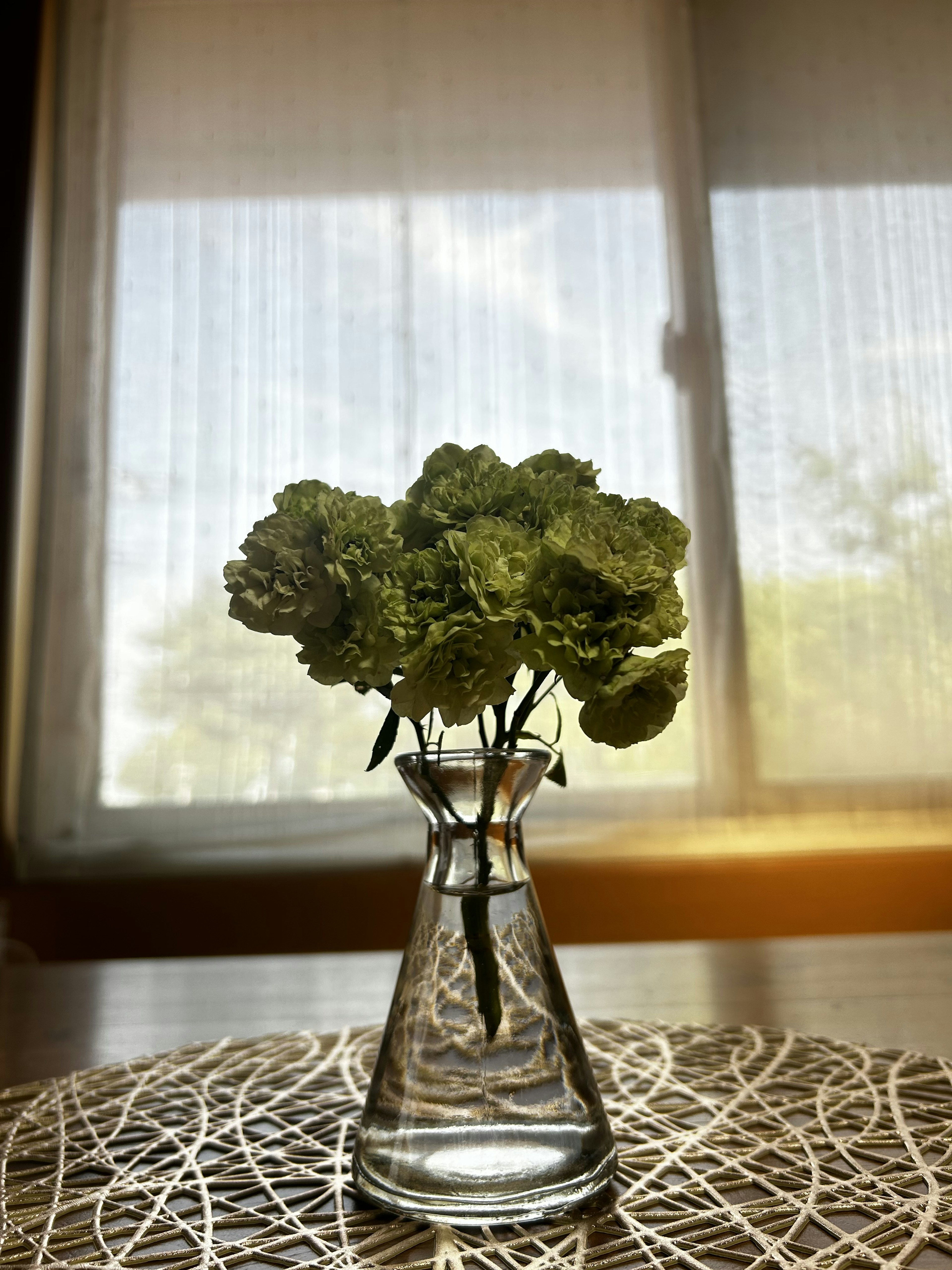 Une photo d'intérieur simple avec un arrangement floral vert dans un vase transparent