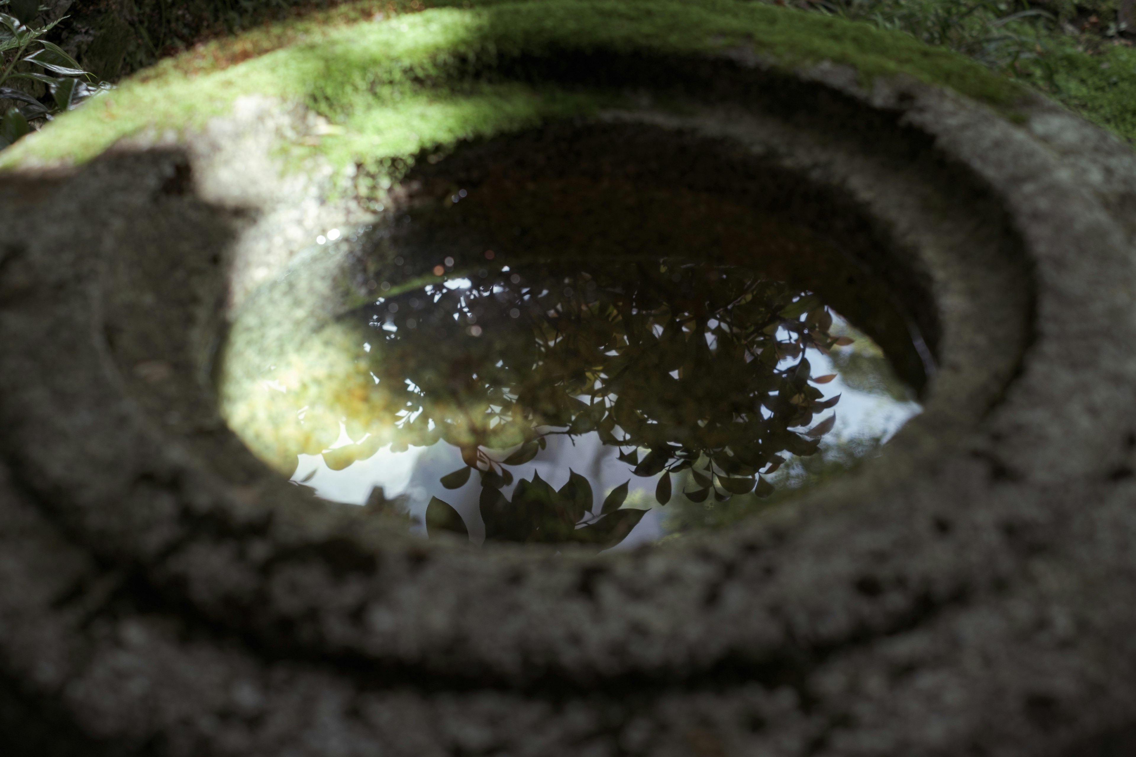 Close-up of an old stone well filled with water reflecting green moss and leaves