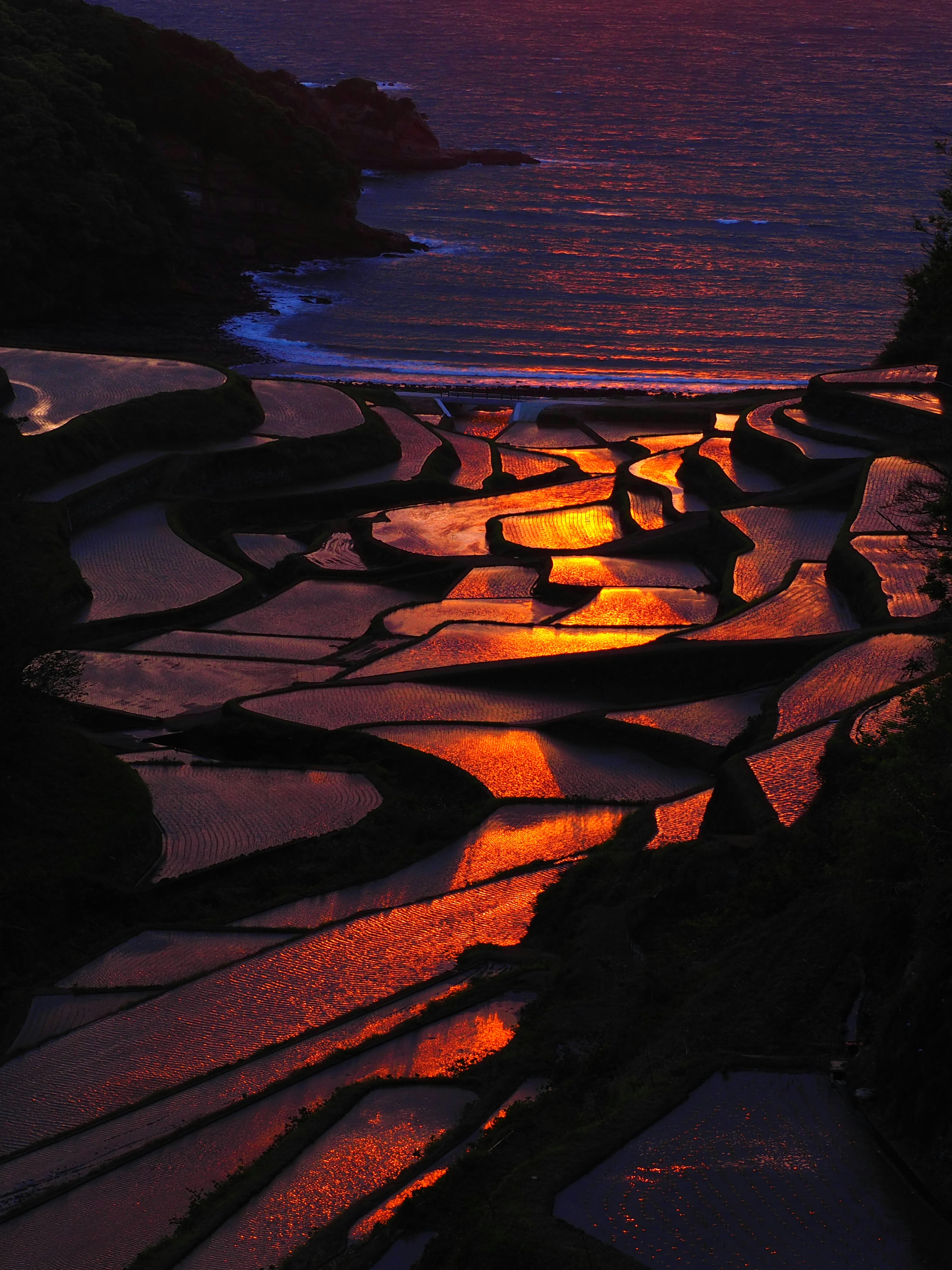 Hermosos campos de arroz en terrazas reflejando el atardecer sobre el mar