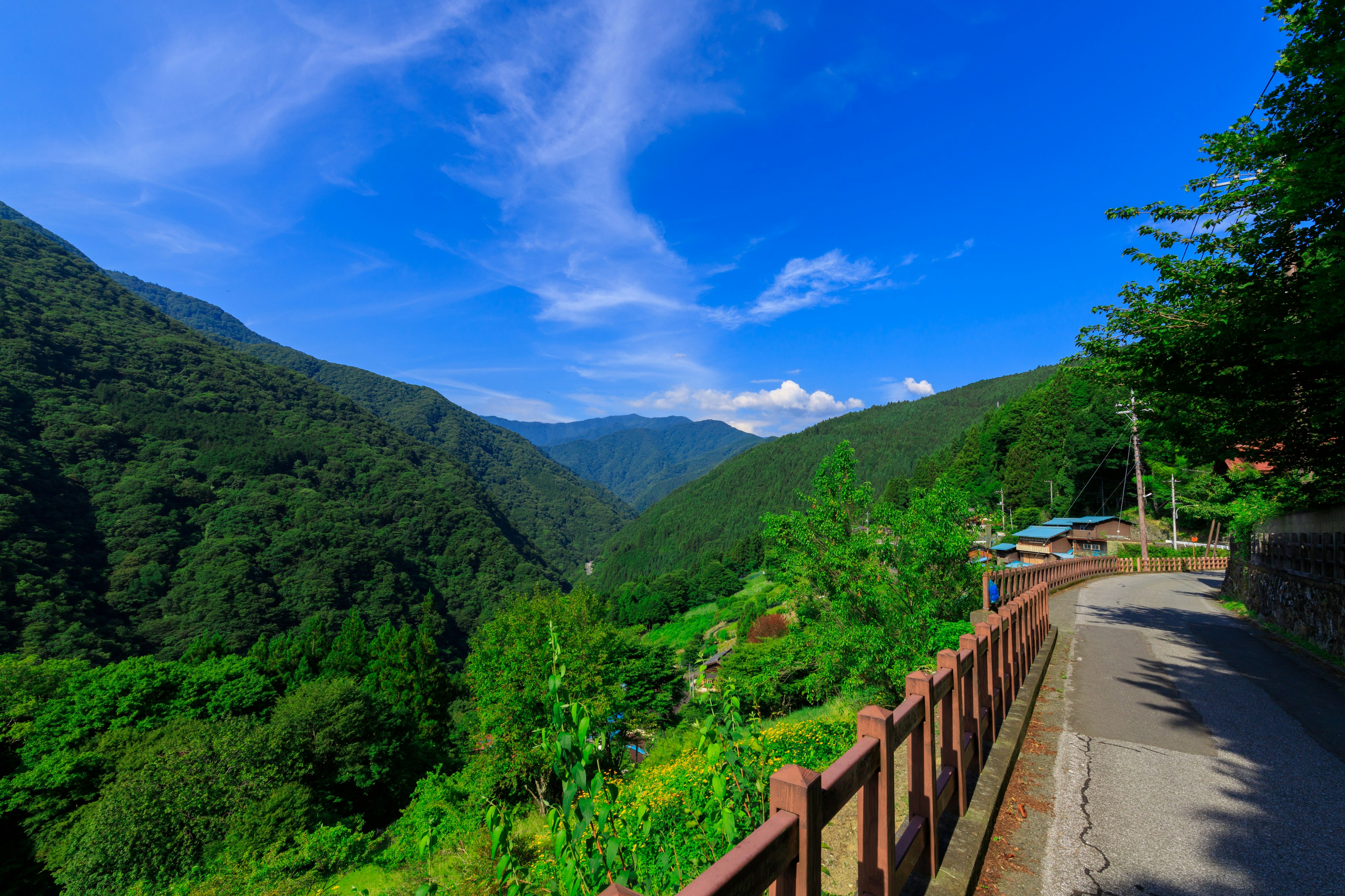 Camino montañoso pintoresco rodeado de vegetación exuberante bajo un cielo azul