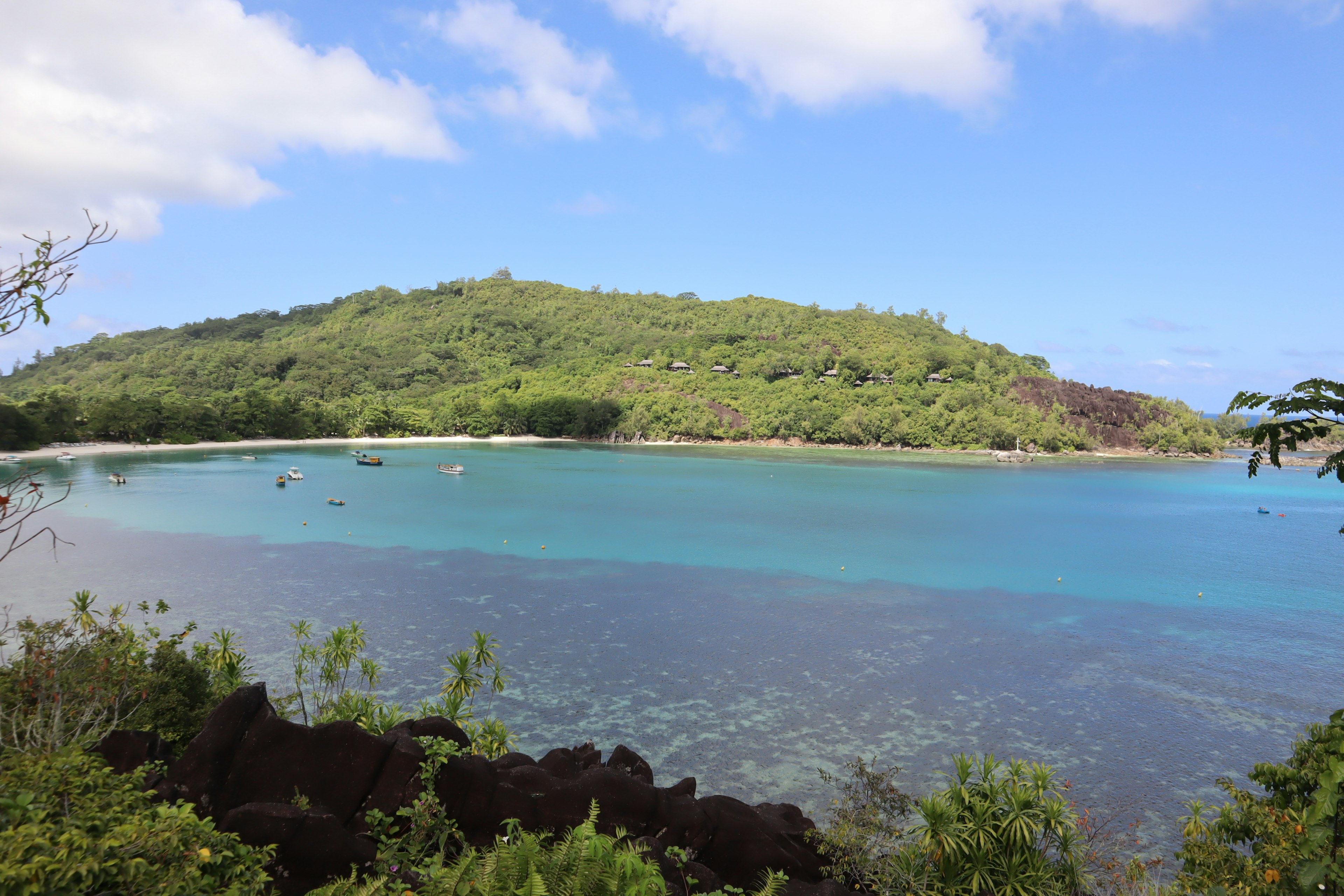 Pemandangan indah dari air turquoise dan pulau hijau