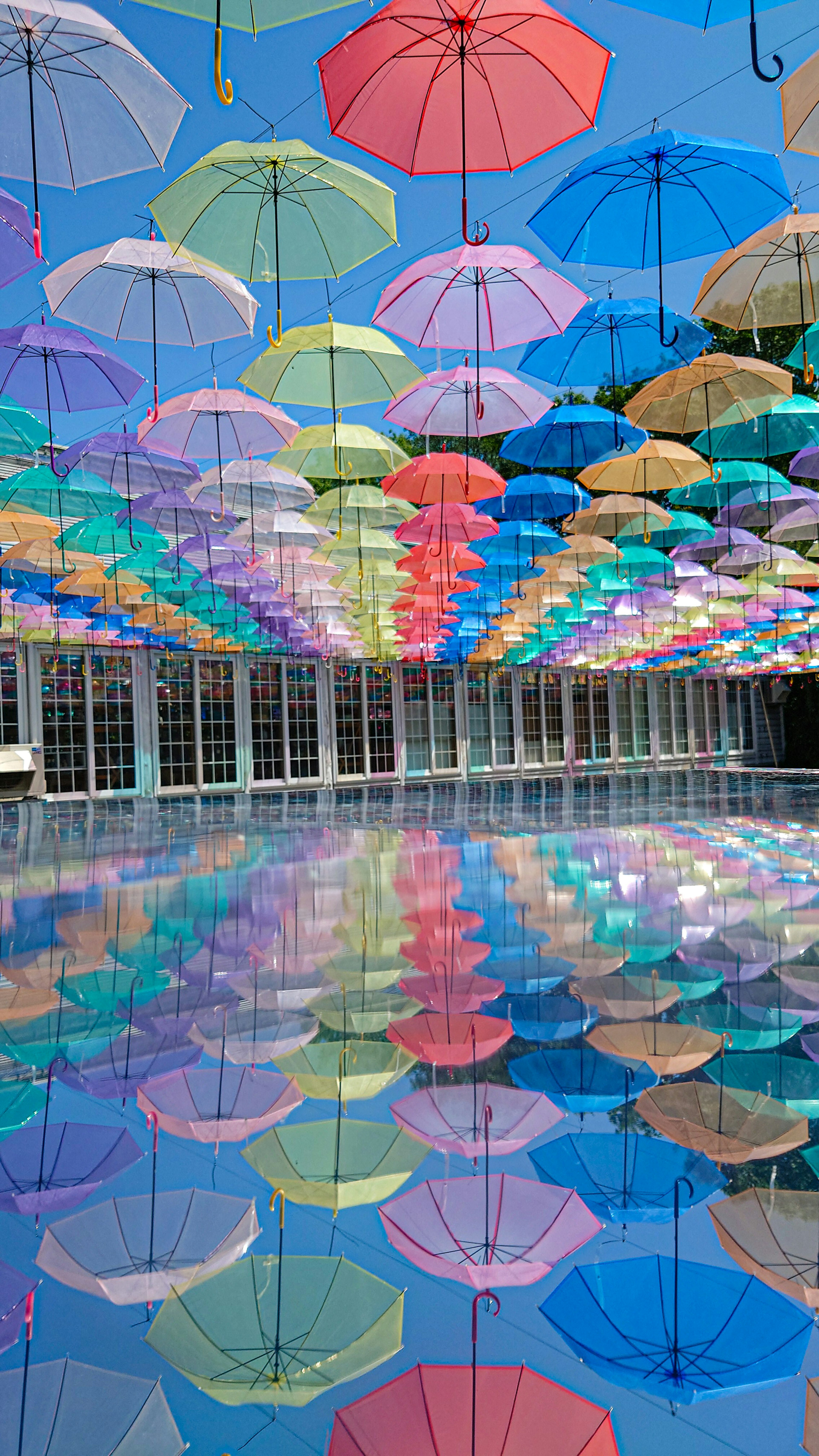 Des parapluies colorés suspendus dans le ciel créant une exposition vibrante