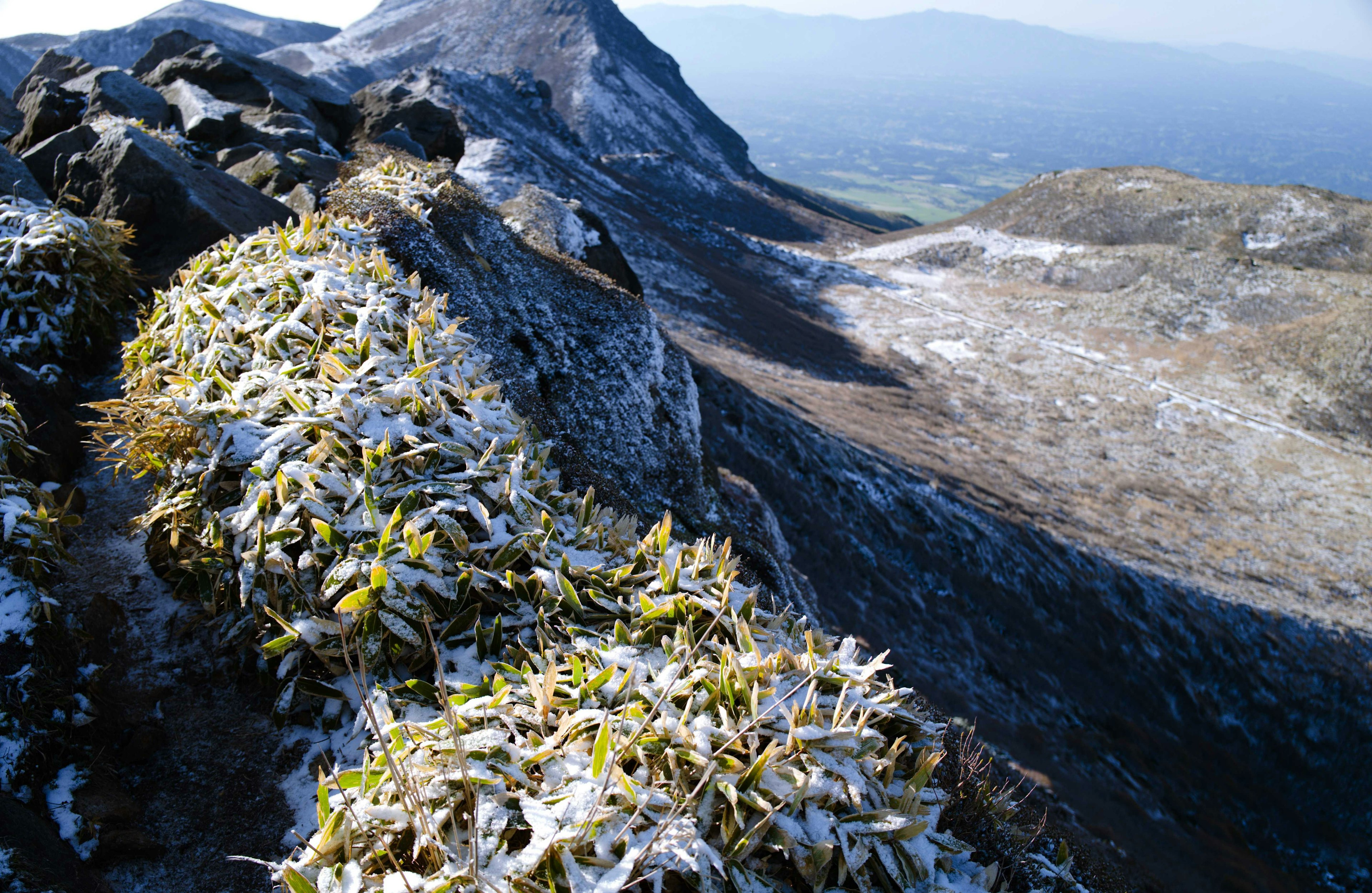 雪に覆われた山の草と岩の風景