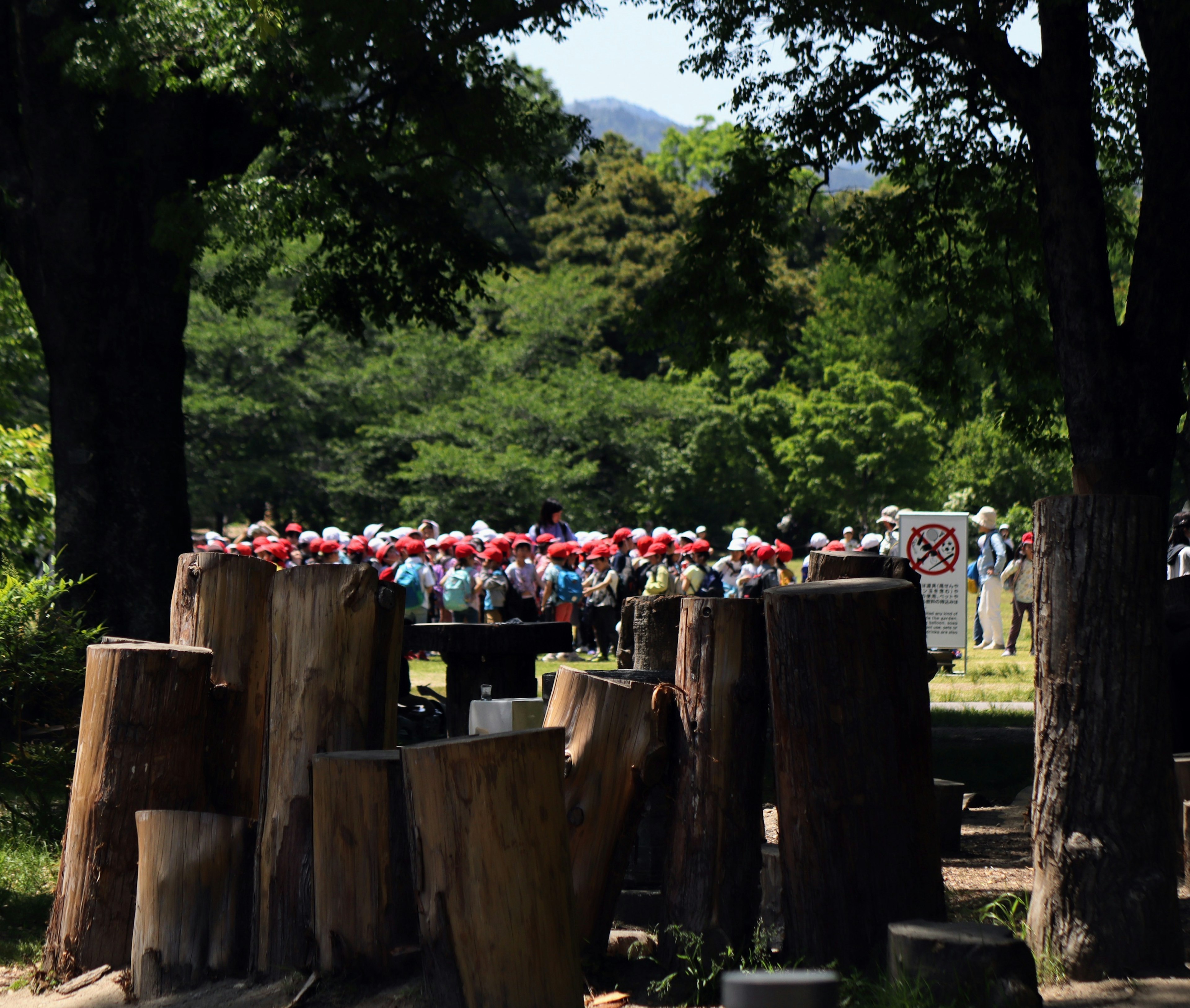 一大群戴著帽子的孩子聚集在郁郁蔥蔥的公園裡