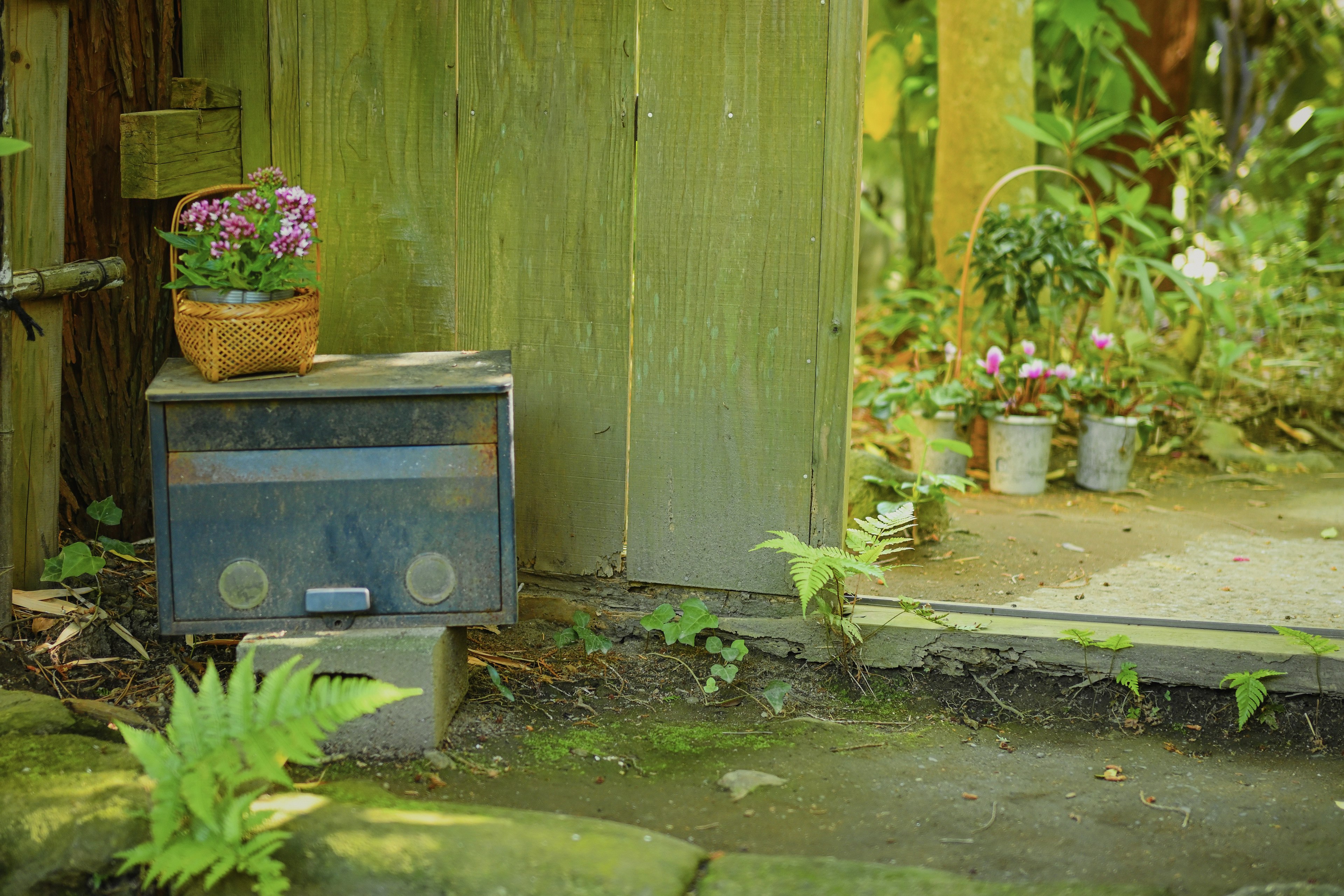 Une radio vintage à côté d'un panier de fleurs dans un jardin entouré de verdure