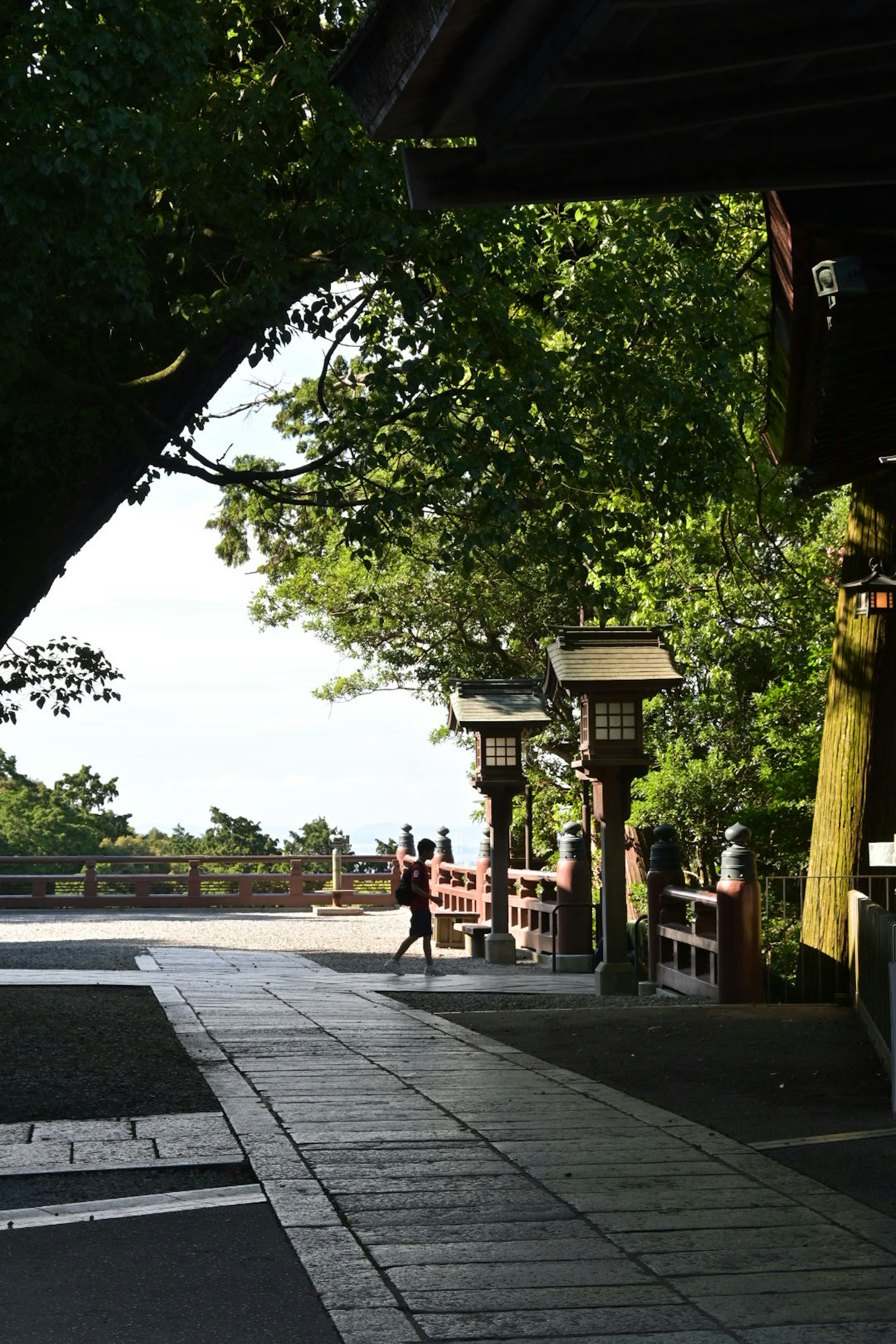 A serene pathway surrounded by lush greenery and traditional lanterns