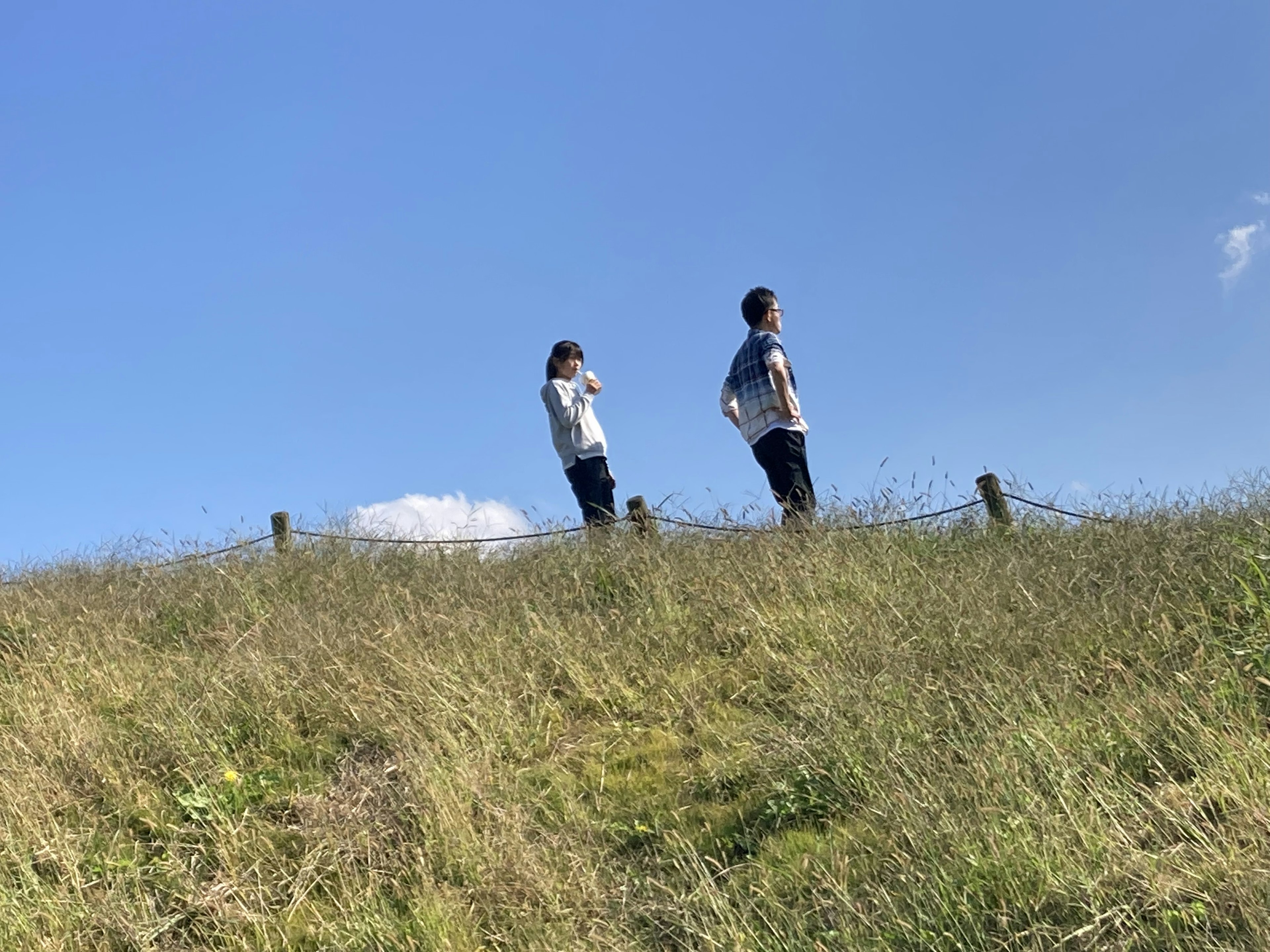 青空の下で立っている二人の人々と緑の草原