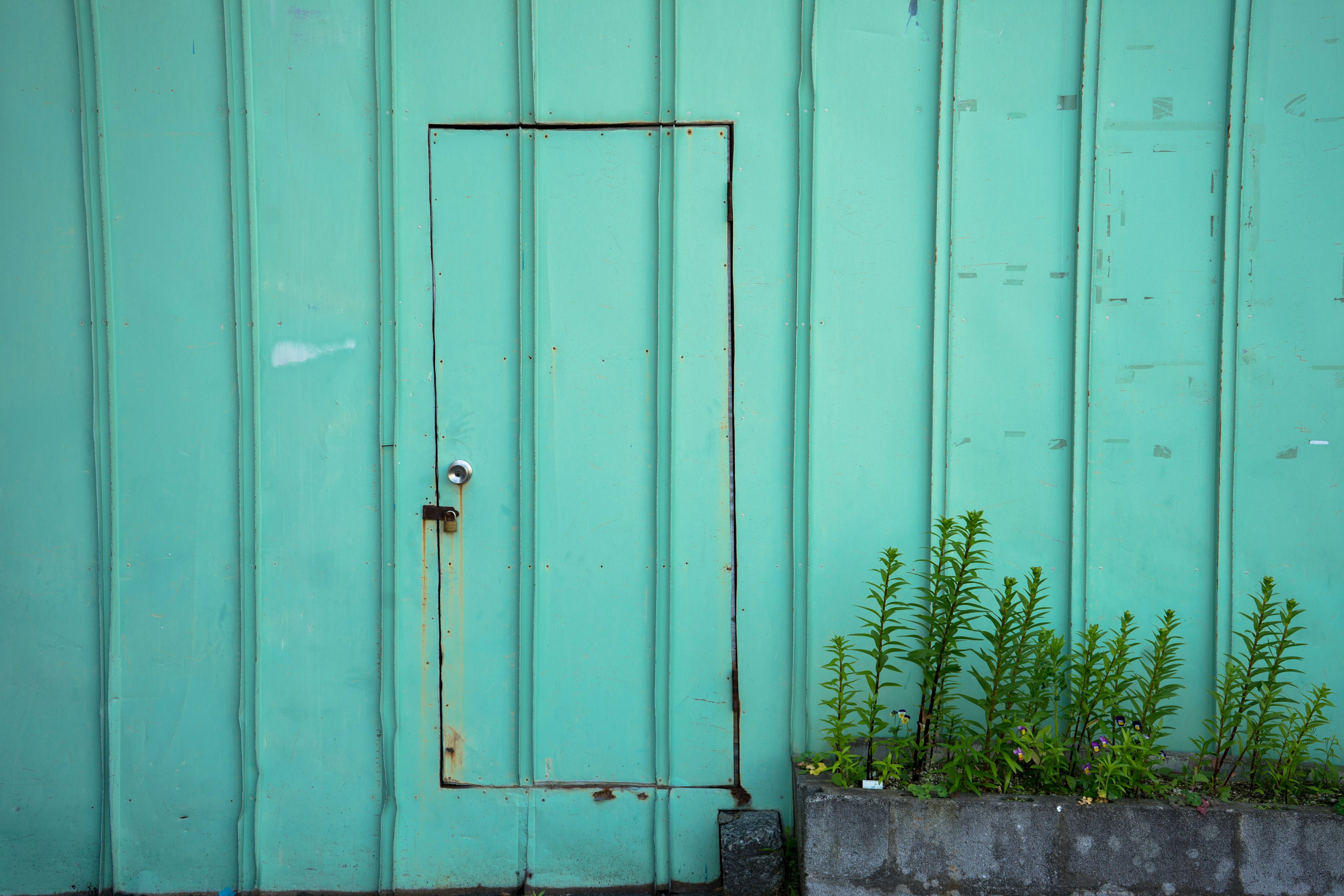 Puerta pequeña en una pared verde agua con plantas verdes en la base