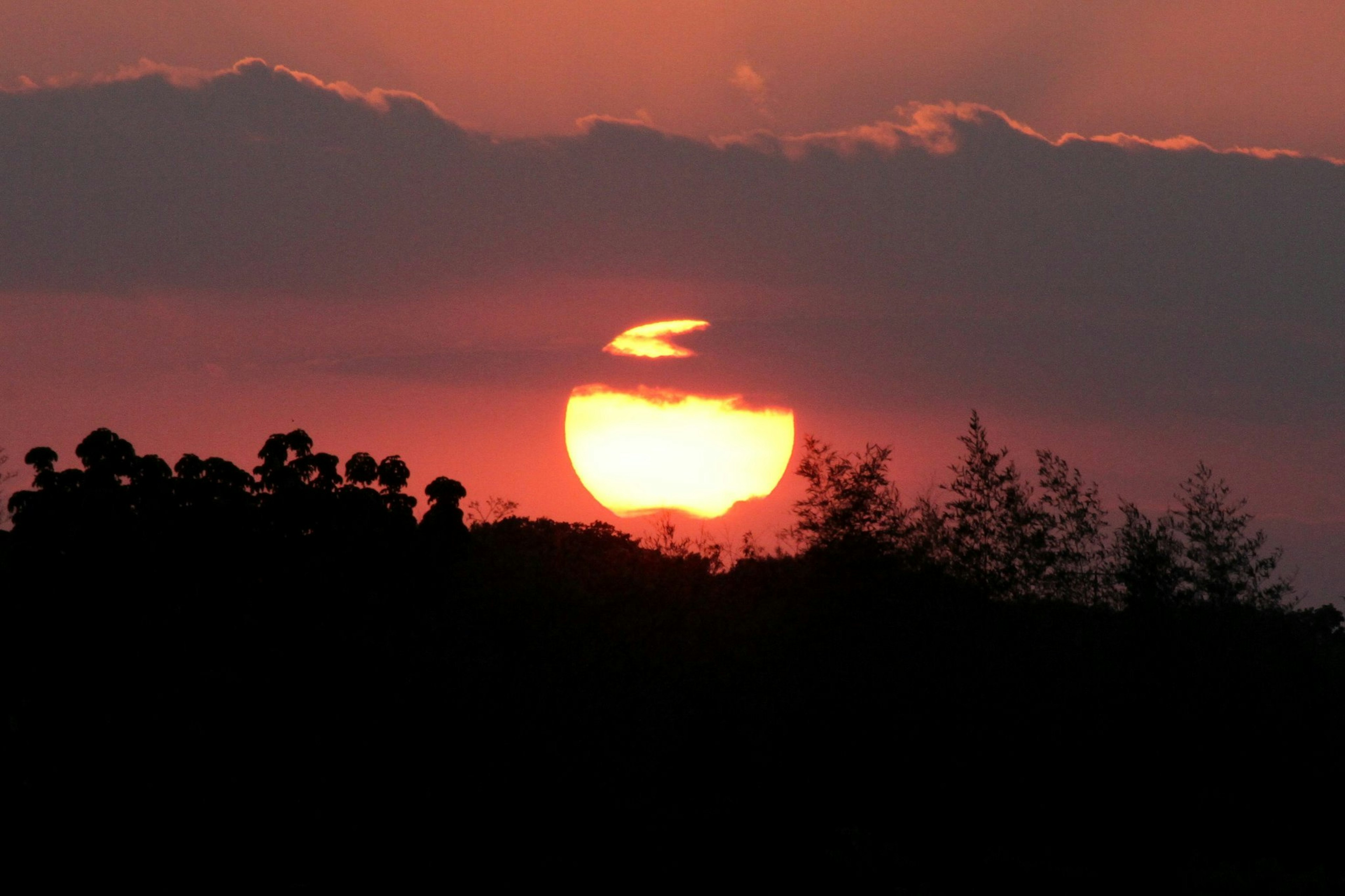 Sunset visible through clouds with tree silhouettes in the foreground