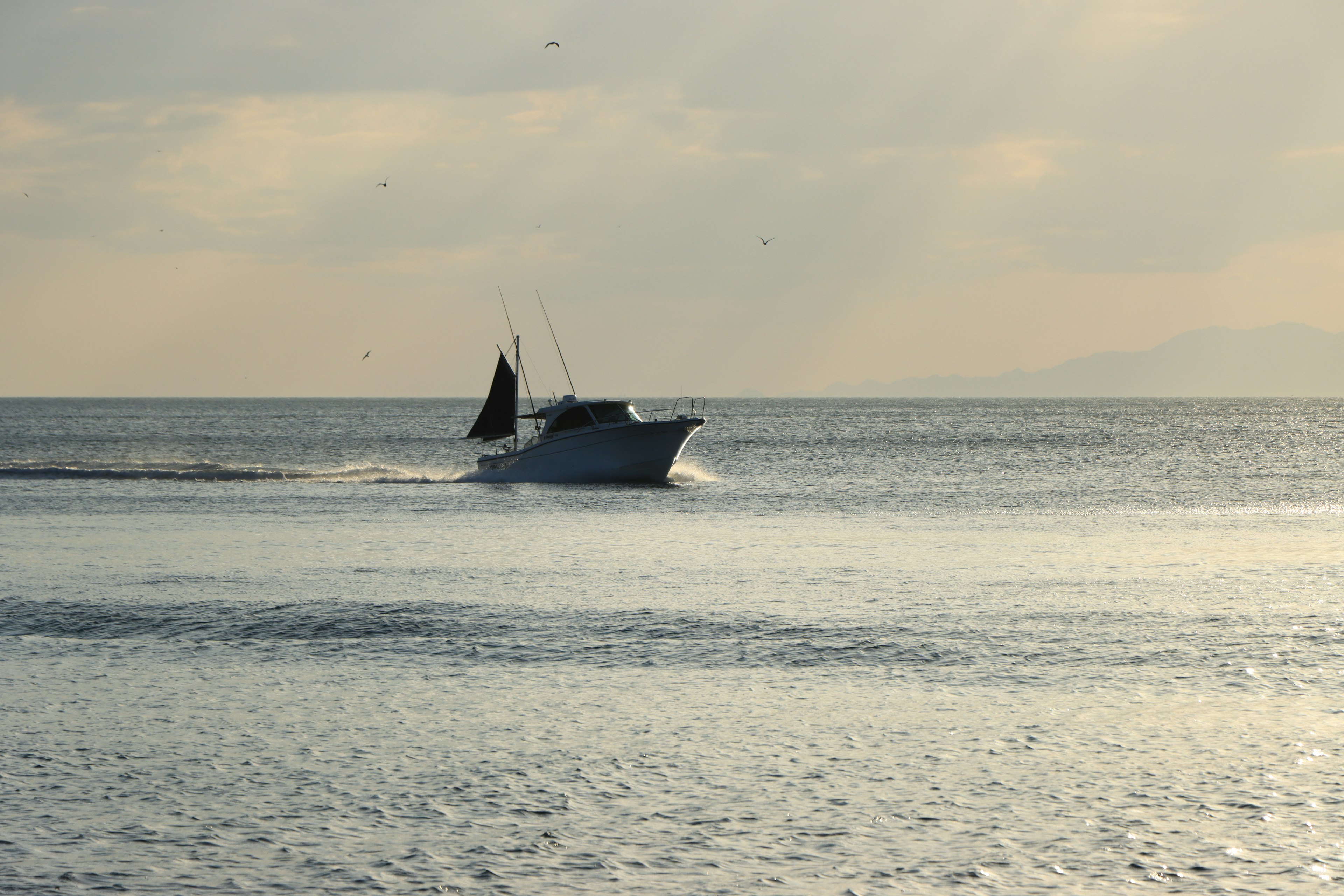 Sebuah perahu kecil berlayar di laut tenang