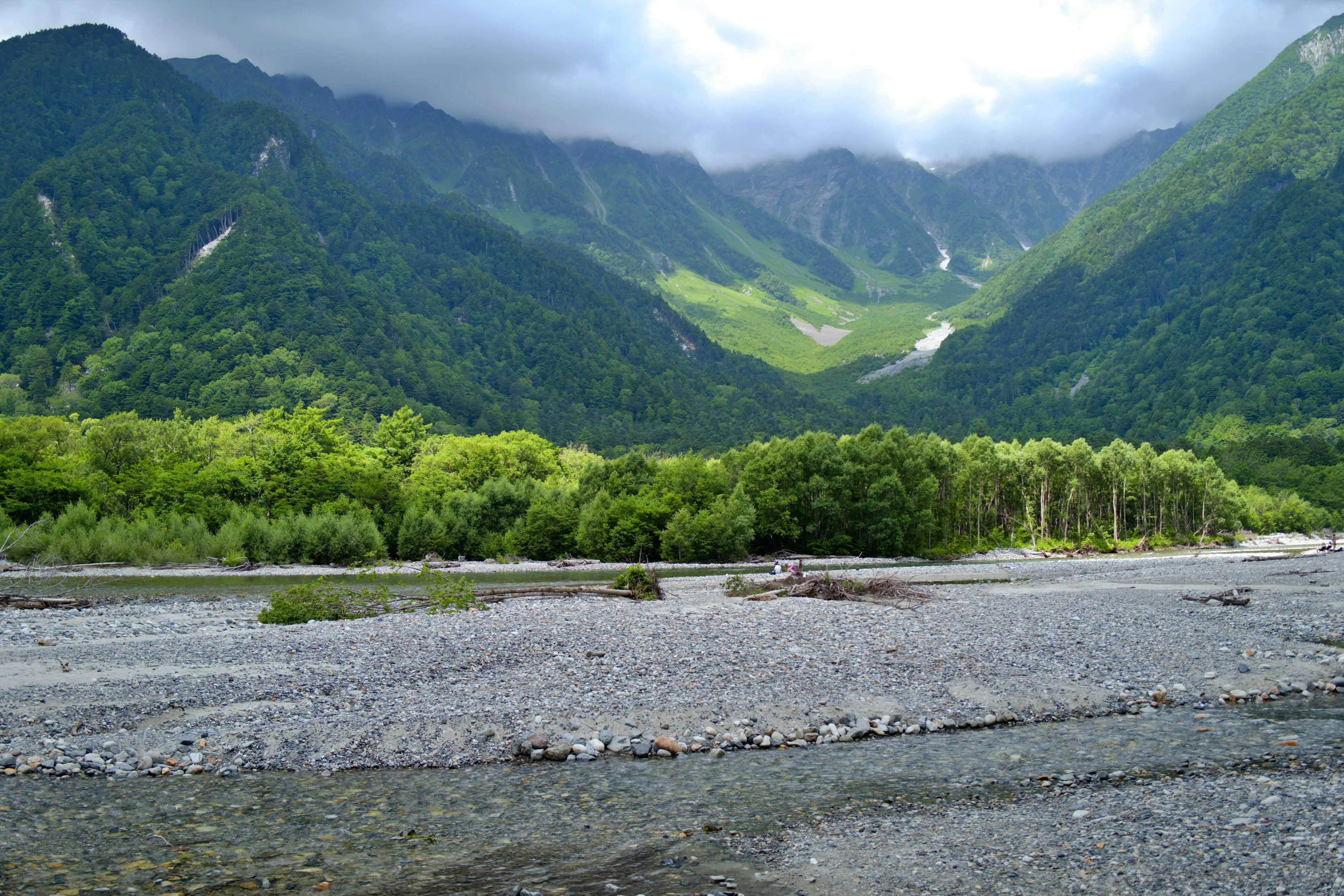 Vue panoramique des montagnes et de la vallée verdoyante