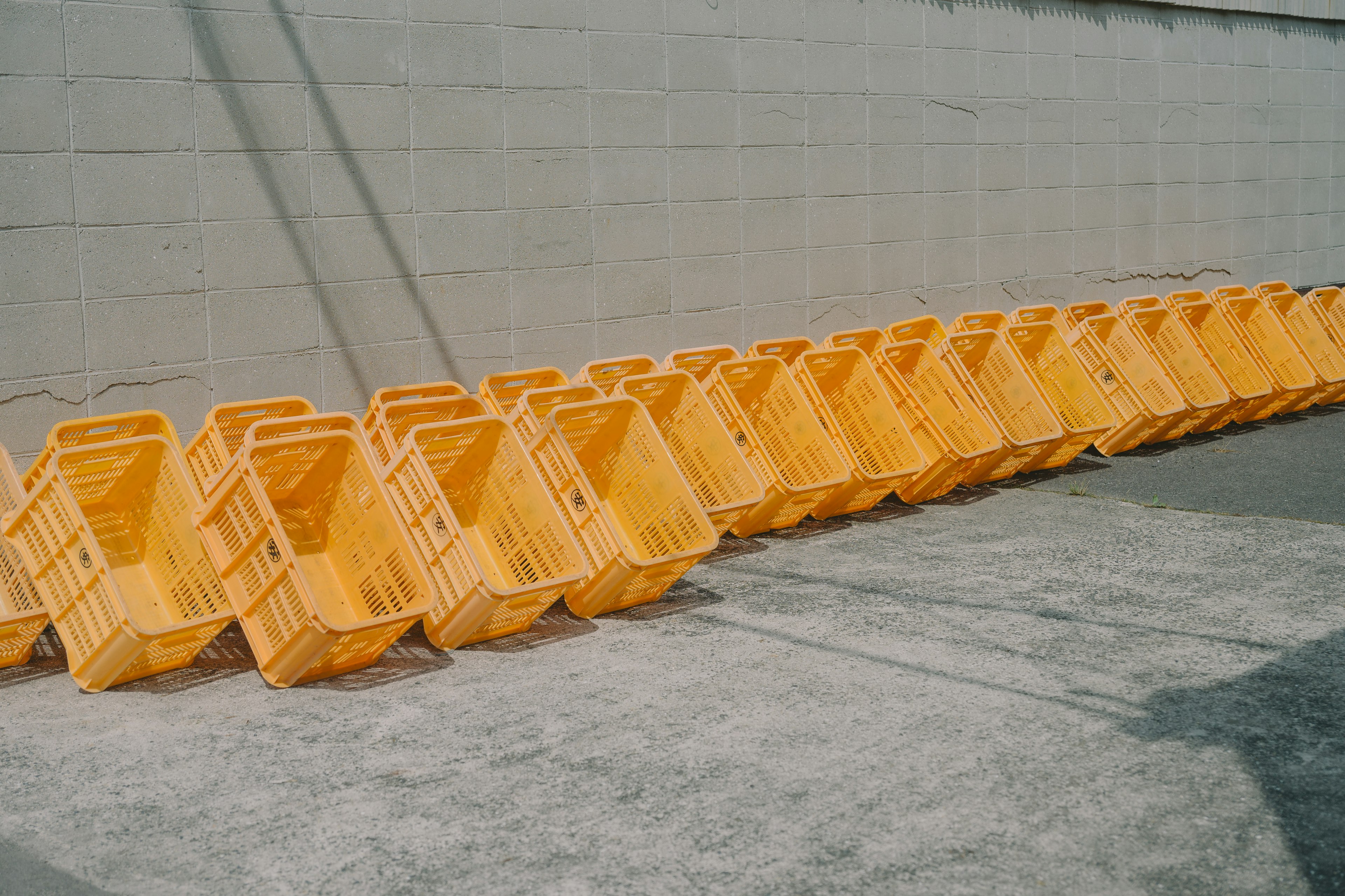 A row of yellow carts arranged neatly against a wall