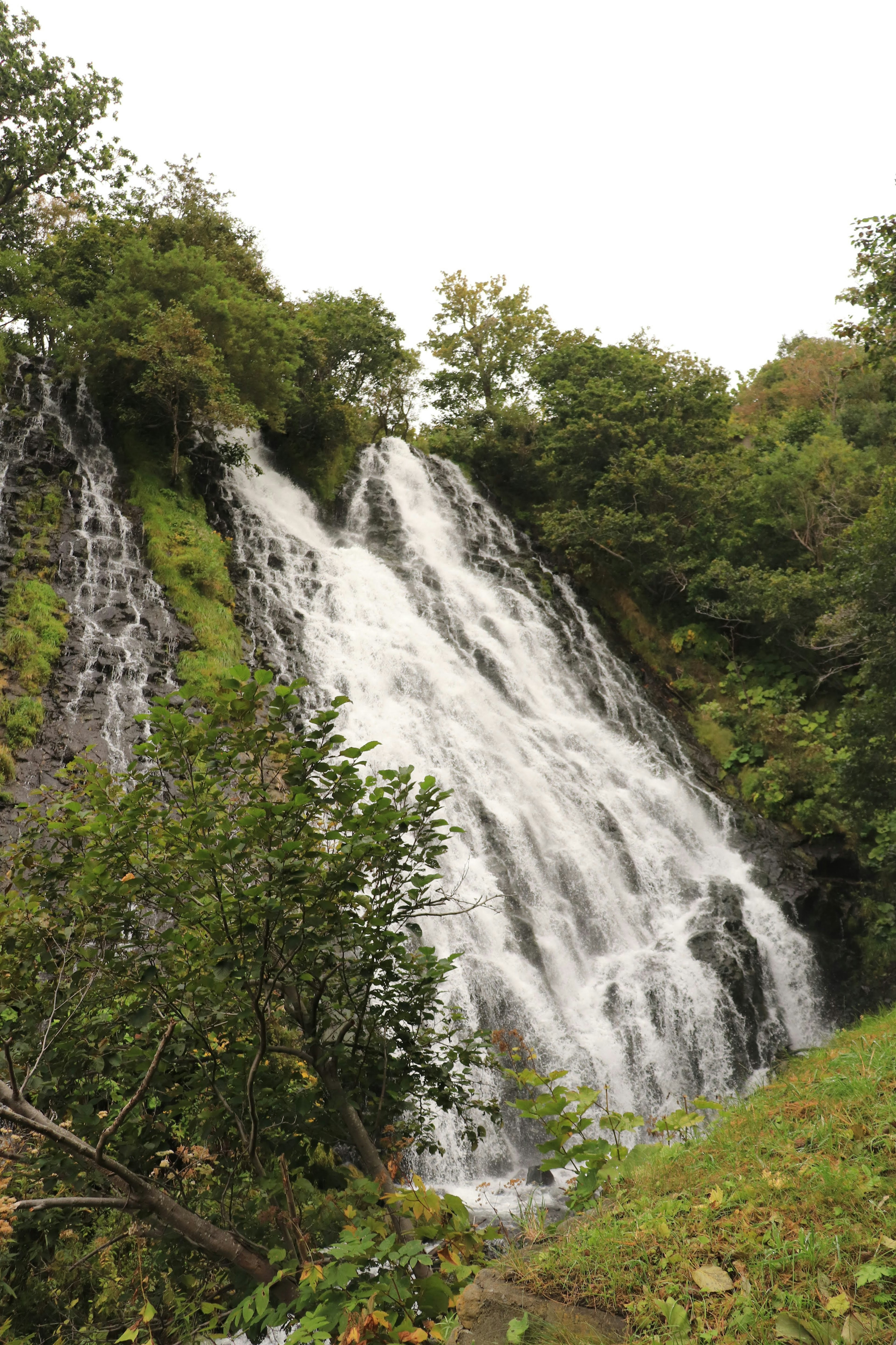 Una bellissima cascata circondata da vegetazione lussureggiante