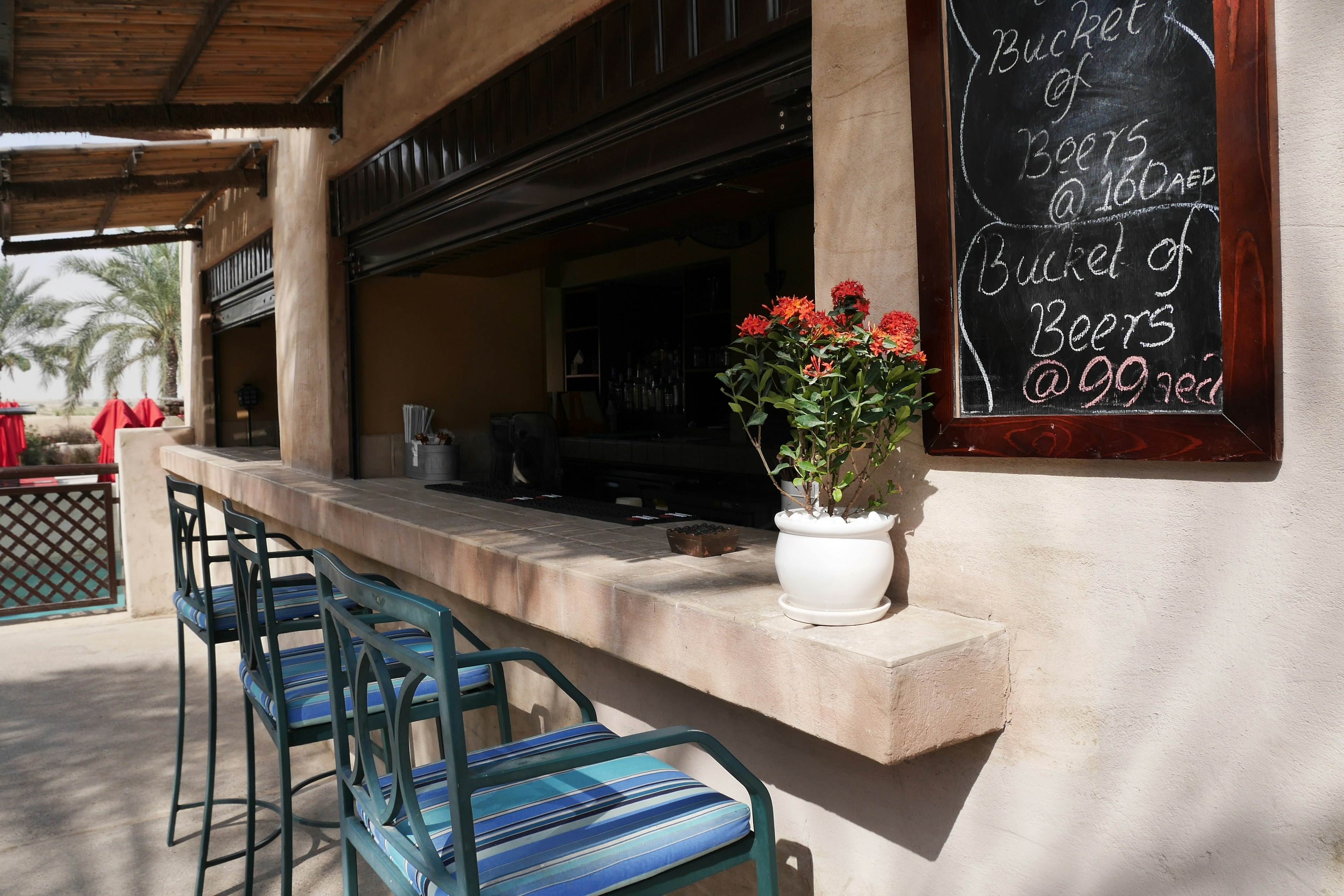 Outdoor bar counter with blue chairs and potted flowers