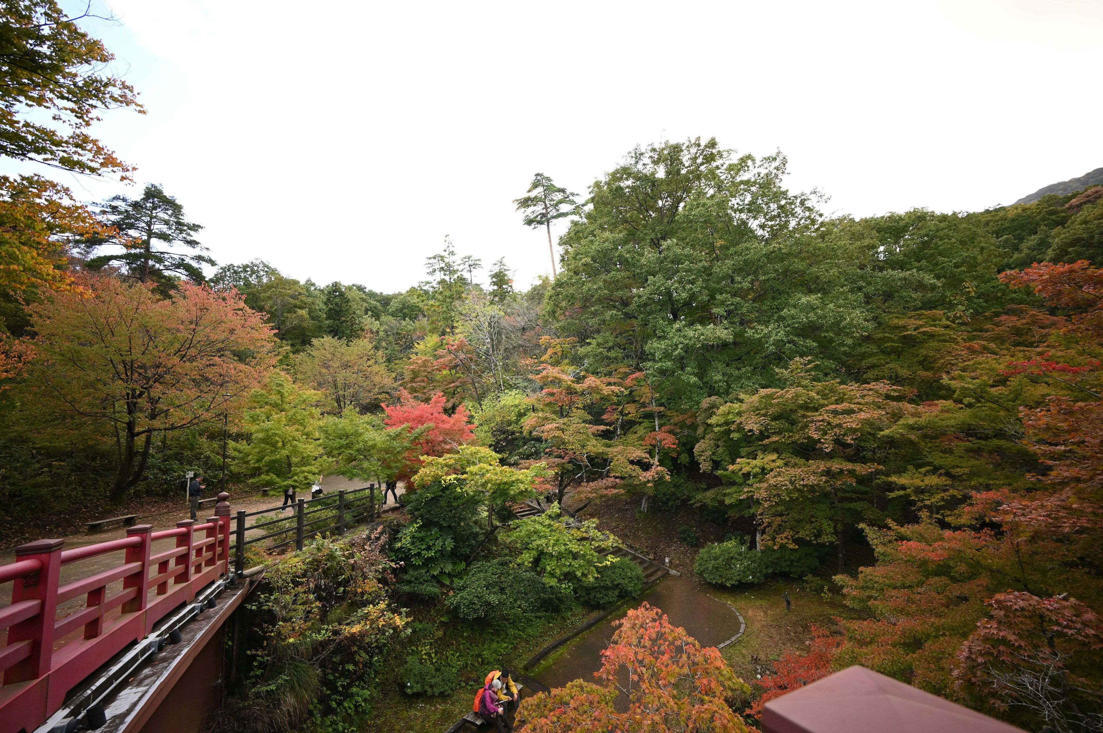 色とりどりの木々と橋の風景が広がる公園