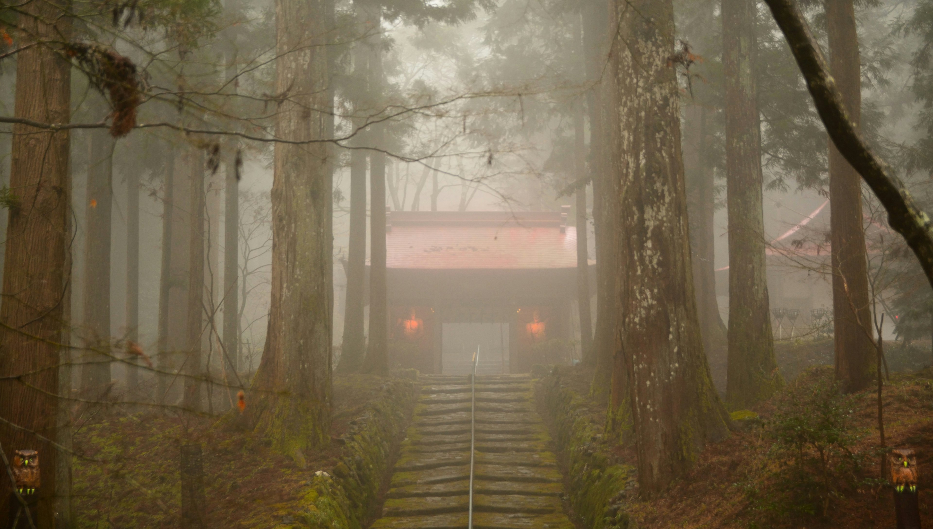 Un edificio de techo rojo en un bosque brumoso con escaleras de madera