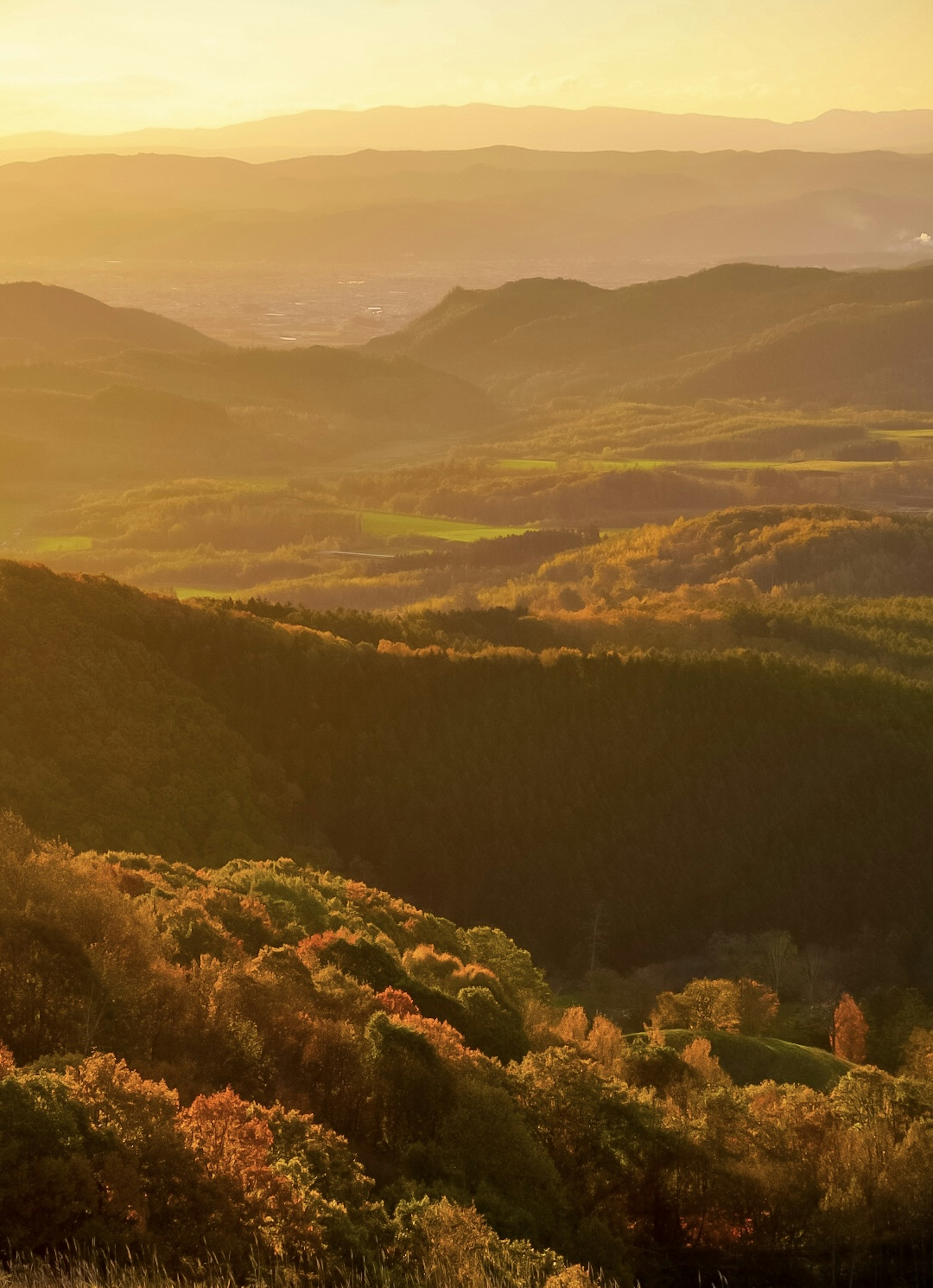 夕暮れの山々と谷間の風景 色とりどりの木々が広がる