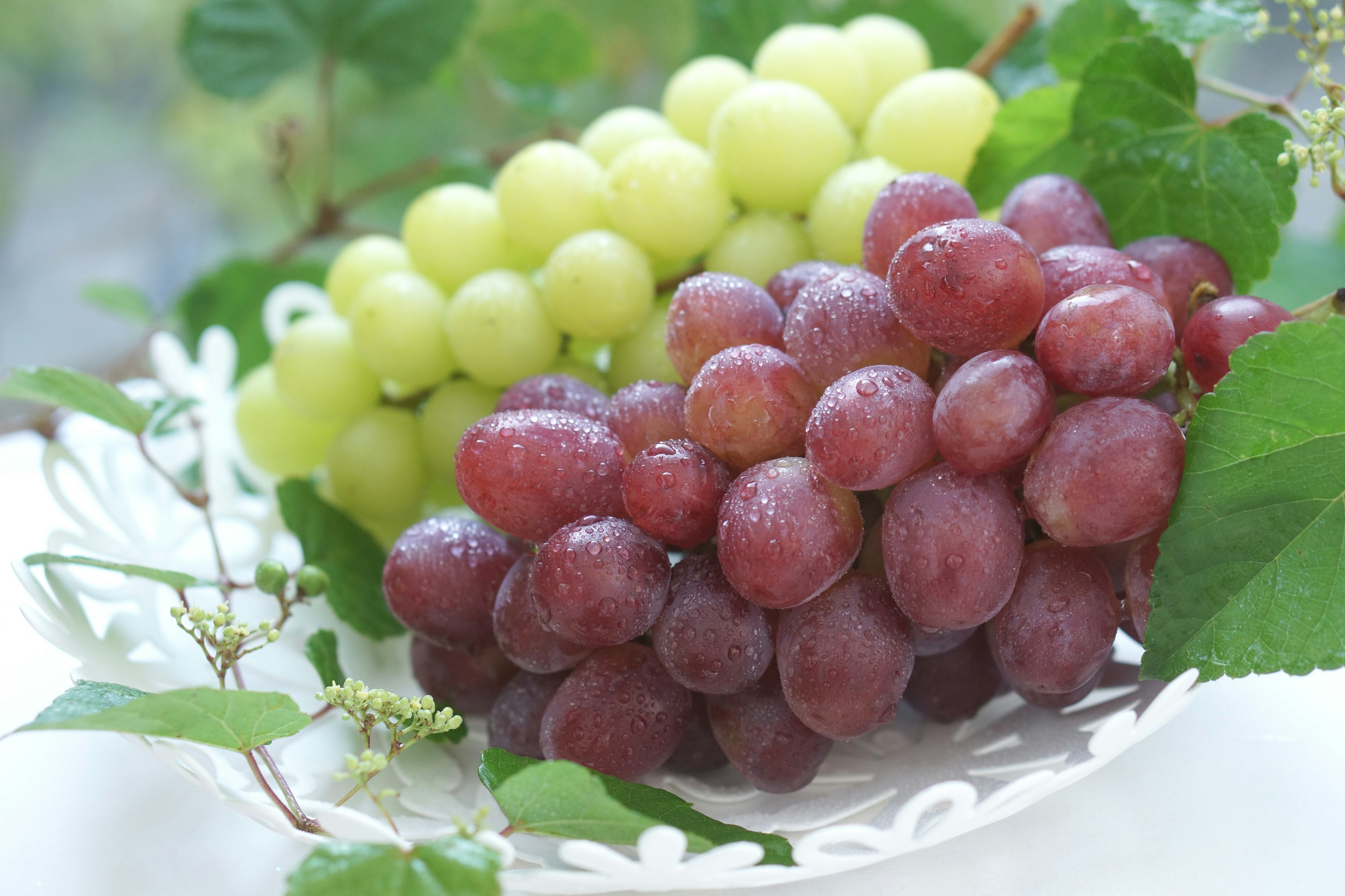 Imagen de uvas rojas y verdes dispuestas en un plato blanco