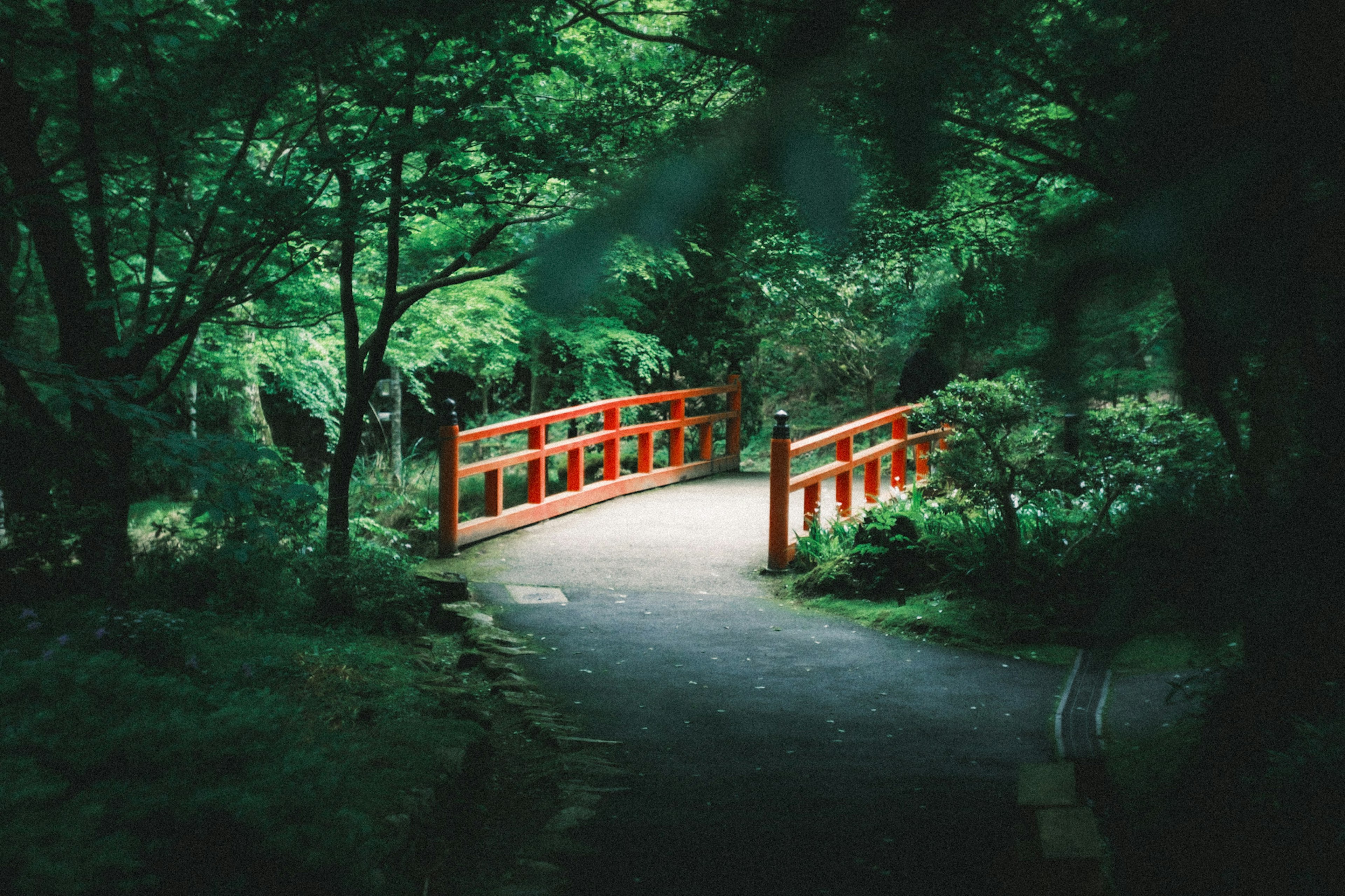 A red bridge over a path surrounded by lush green trees