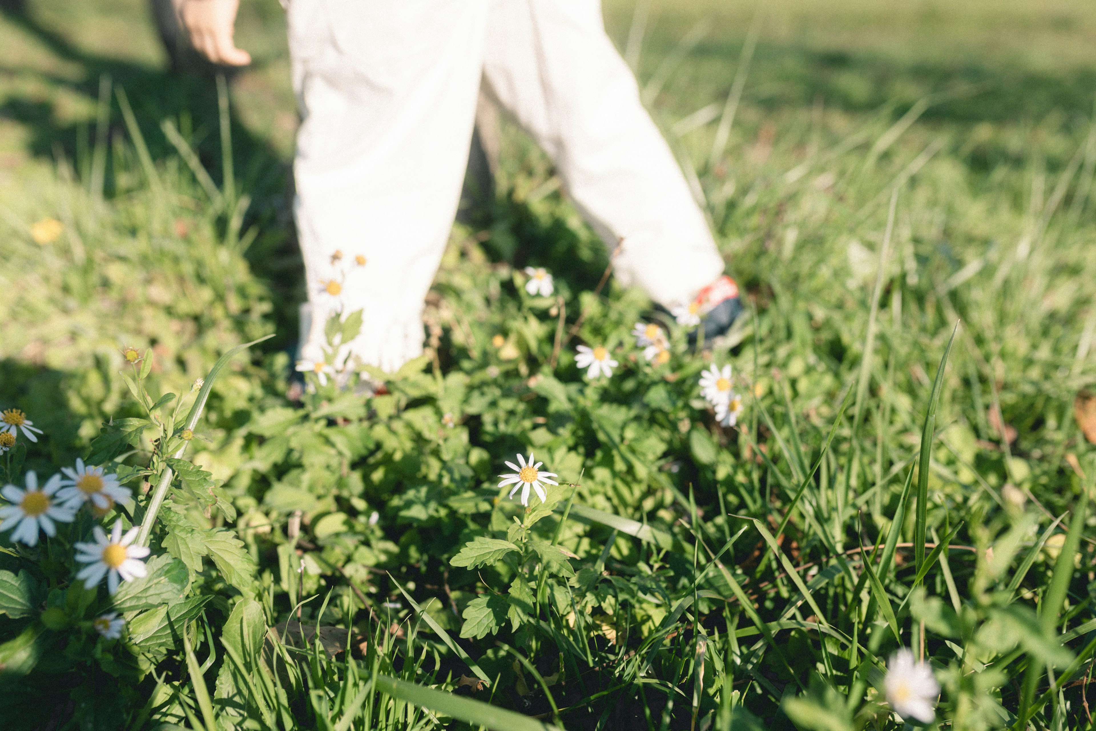 Un niño caminando por la hierba con flores en un paisaje verde