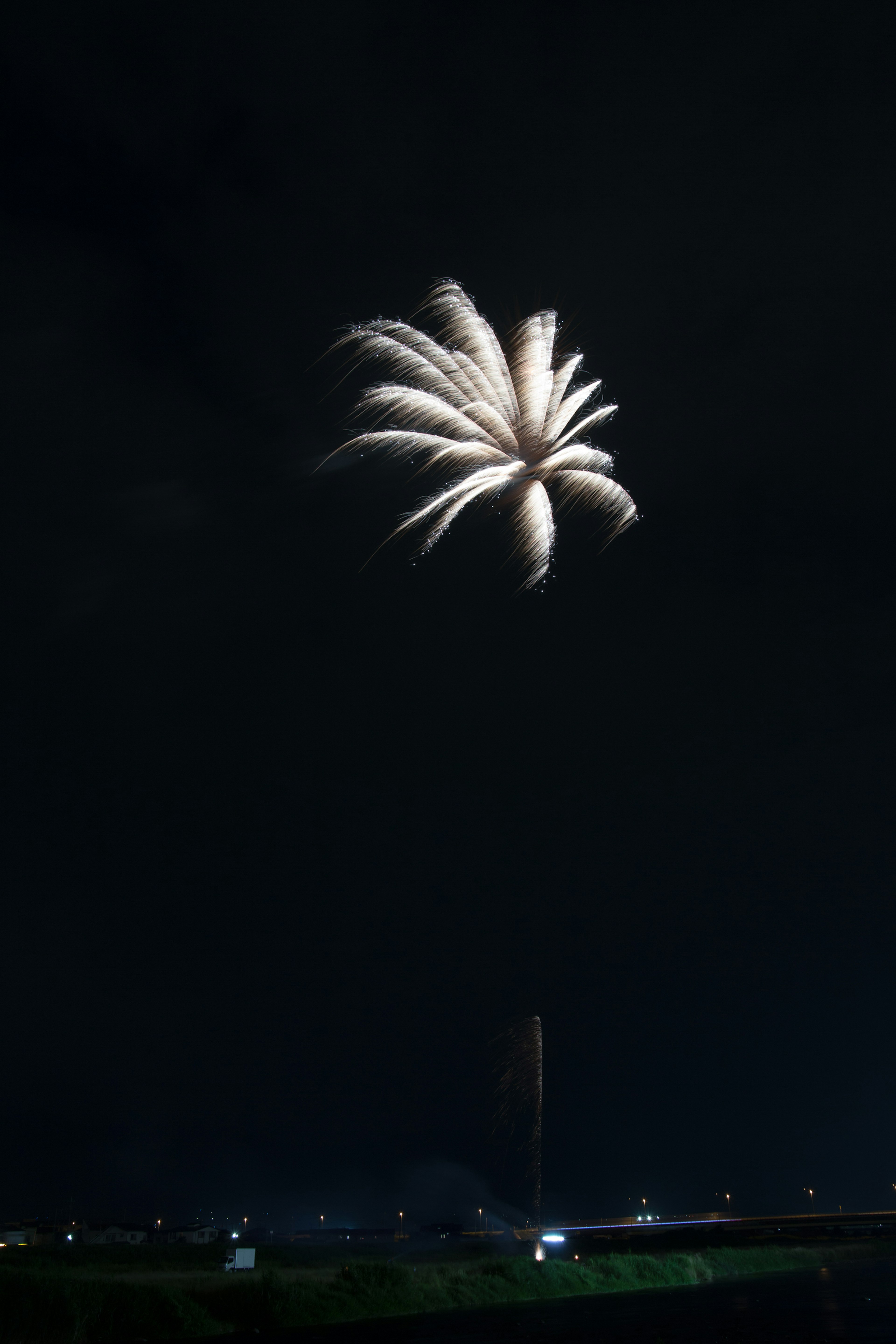 Bellissimo fuoco d'artificio che assomiglia a un fiore che sboccia nel cielo notturno