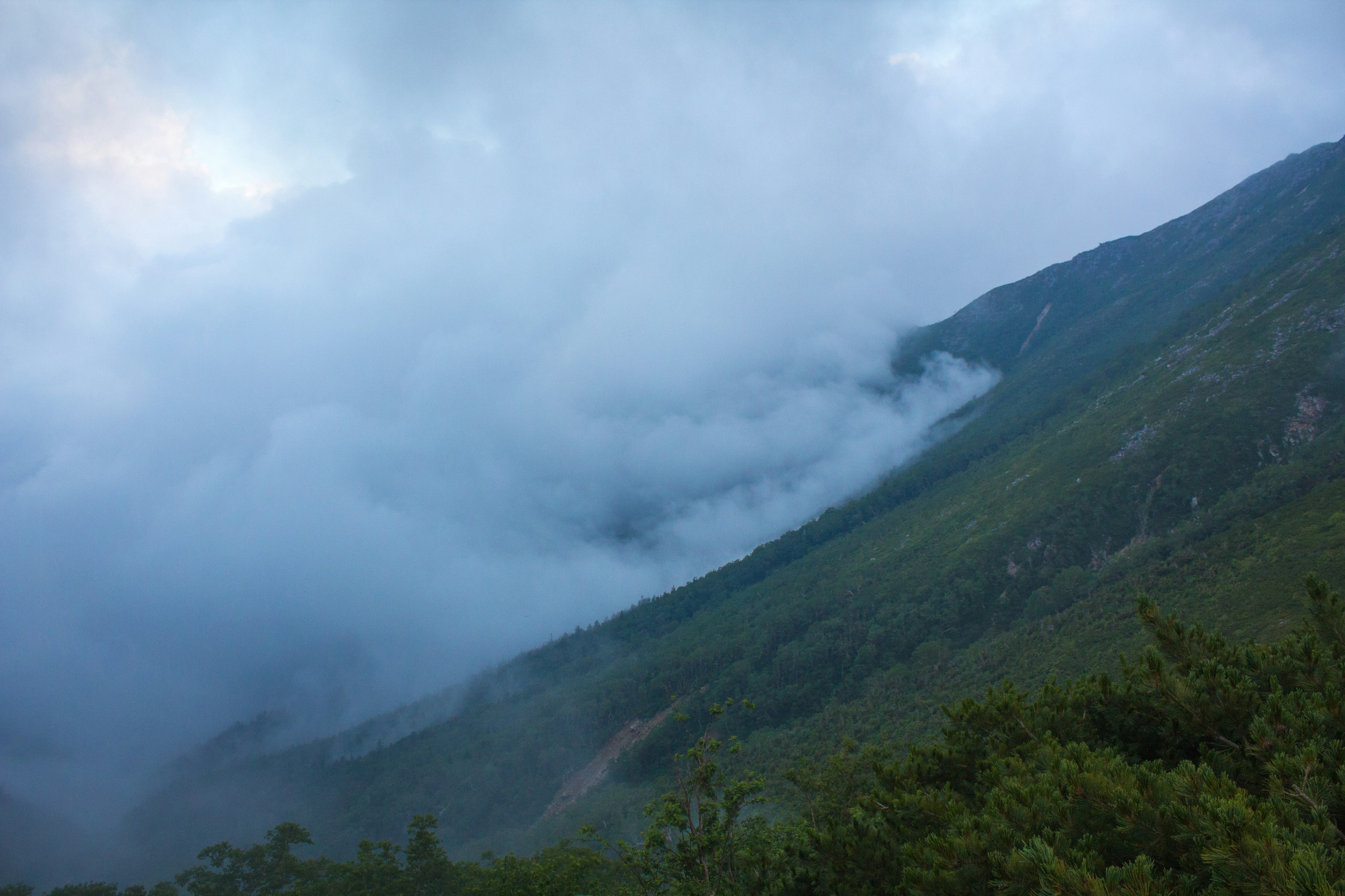 雾气弥漫的山景，绿意盎然的坡道与蓝天