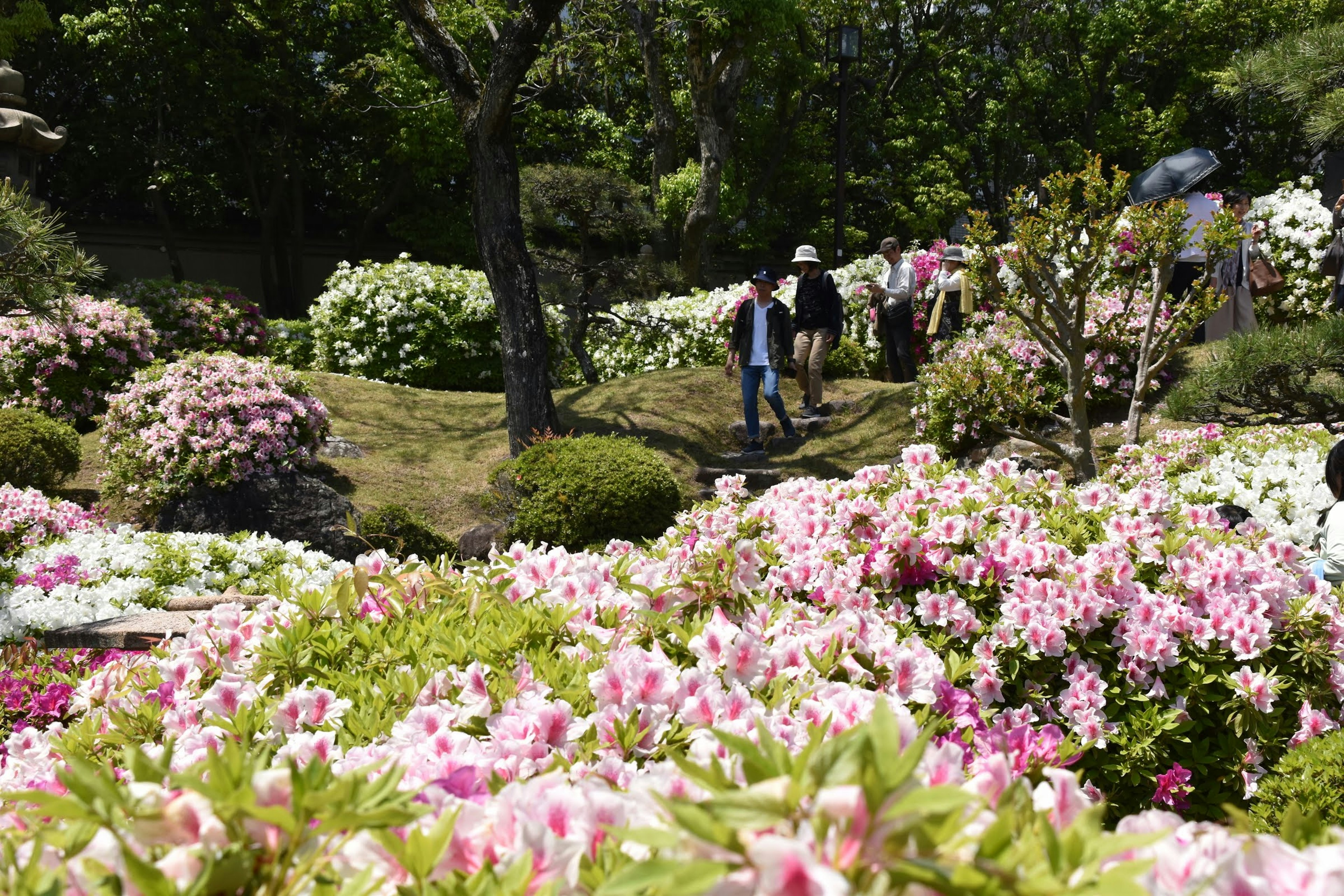 Personas paseando en un jardín rodeado de flores coloridas