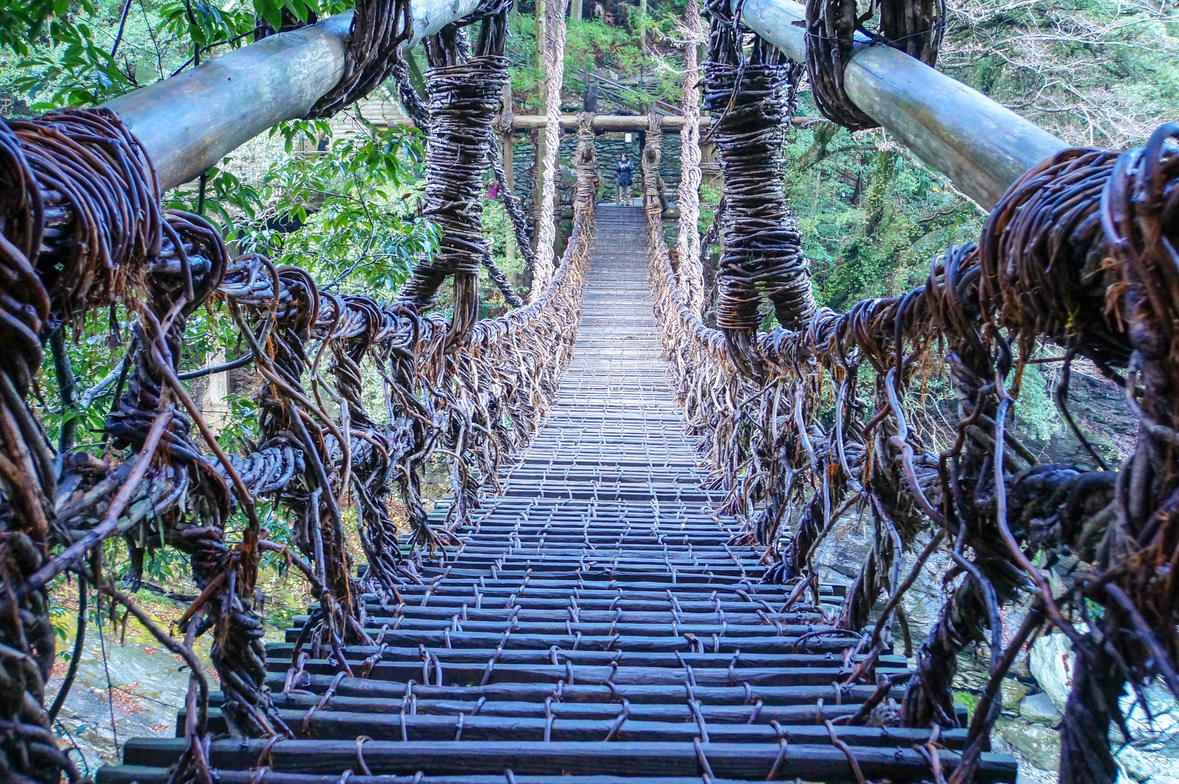 Vue du pont suspendu entouré par la nature