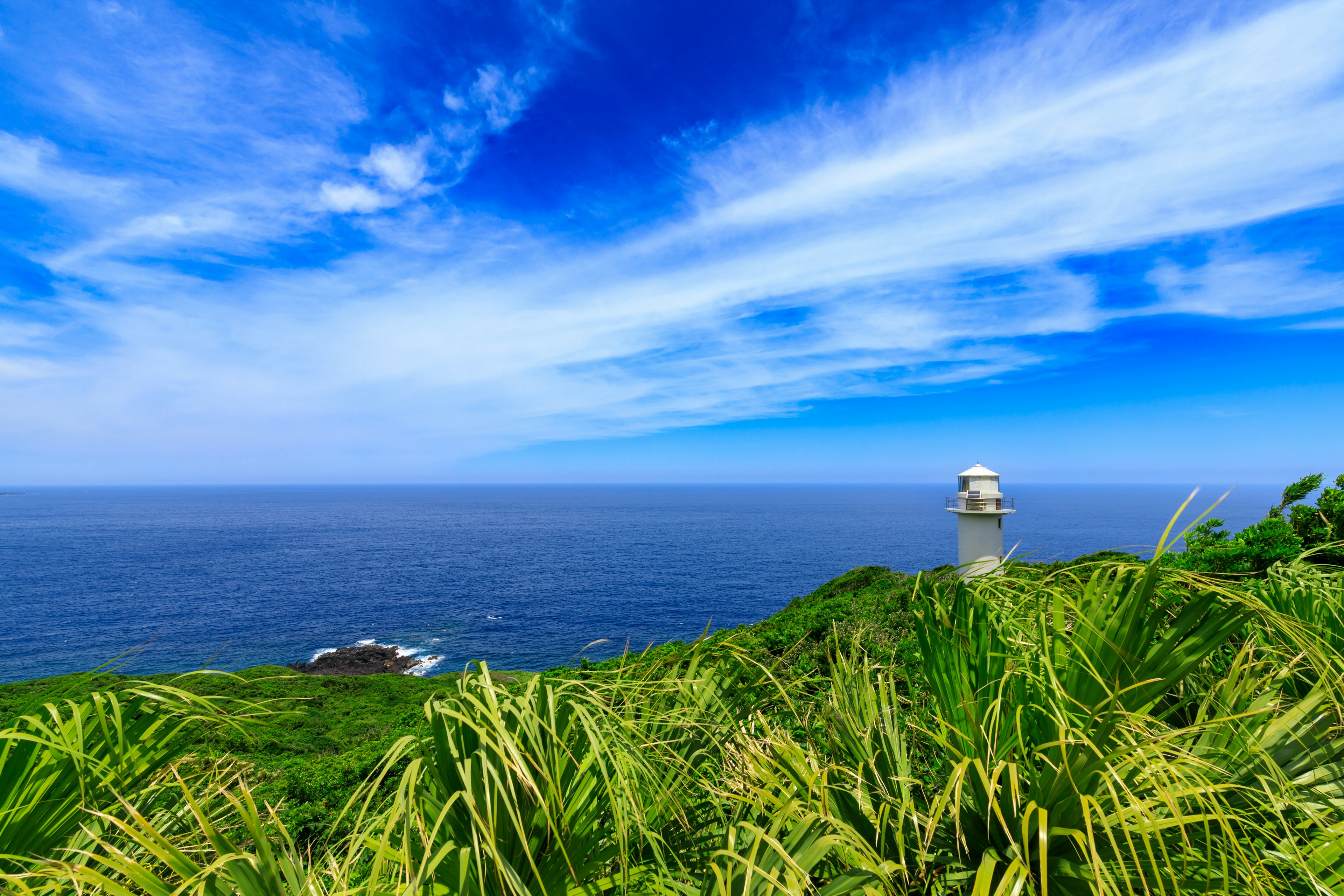 Lighthouse overlooking the blue sea with lush green grass