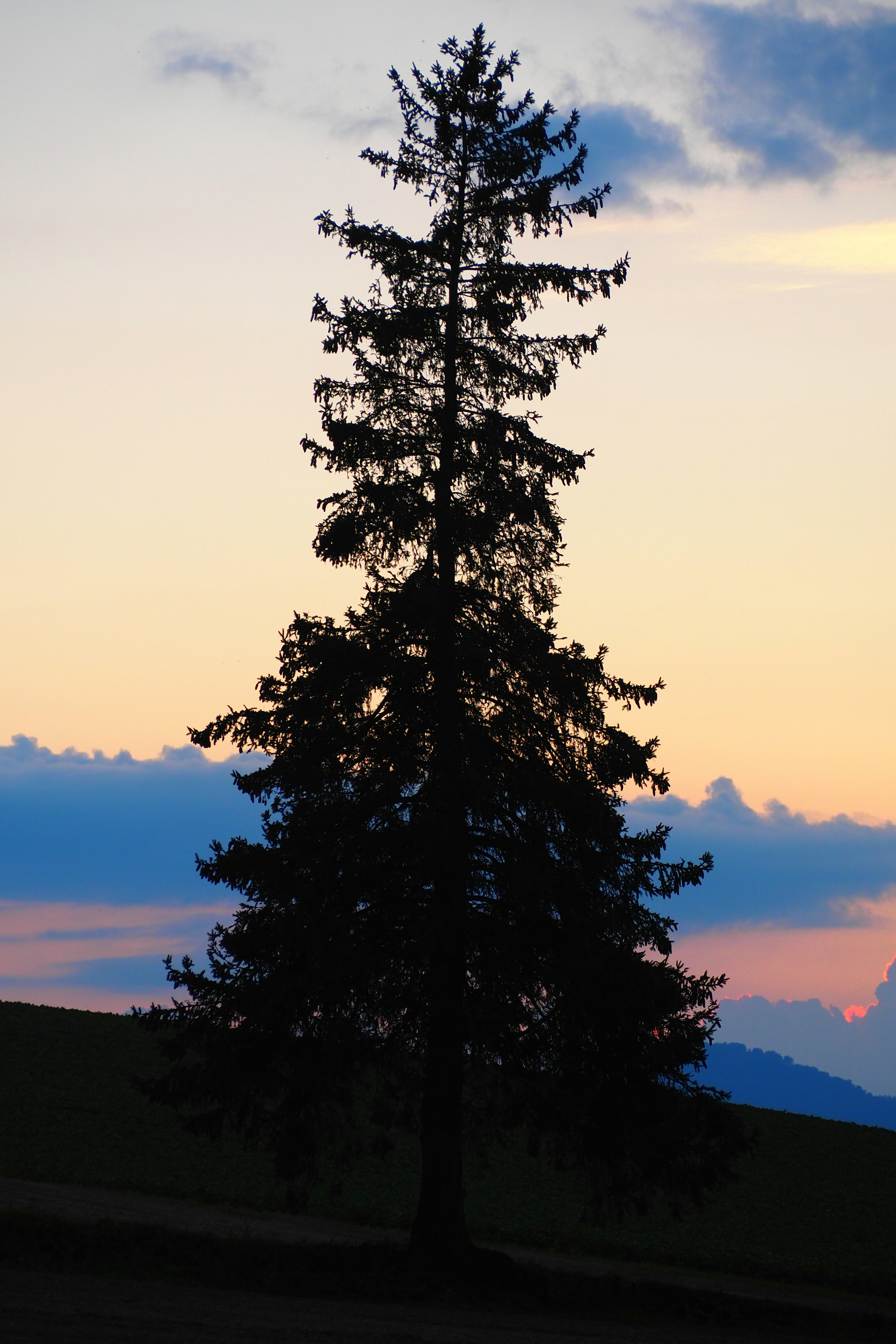 Un arbre solitaire en silhouette contre un ciel de coucher de soleil