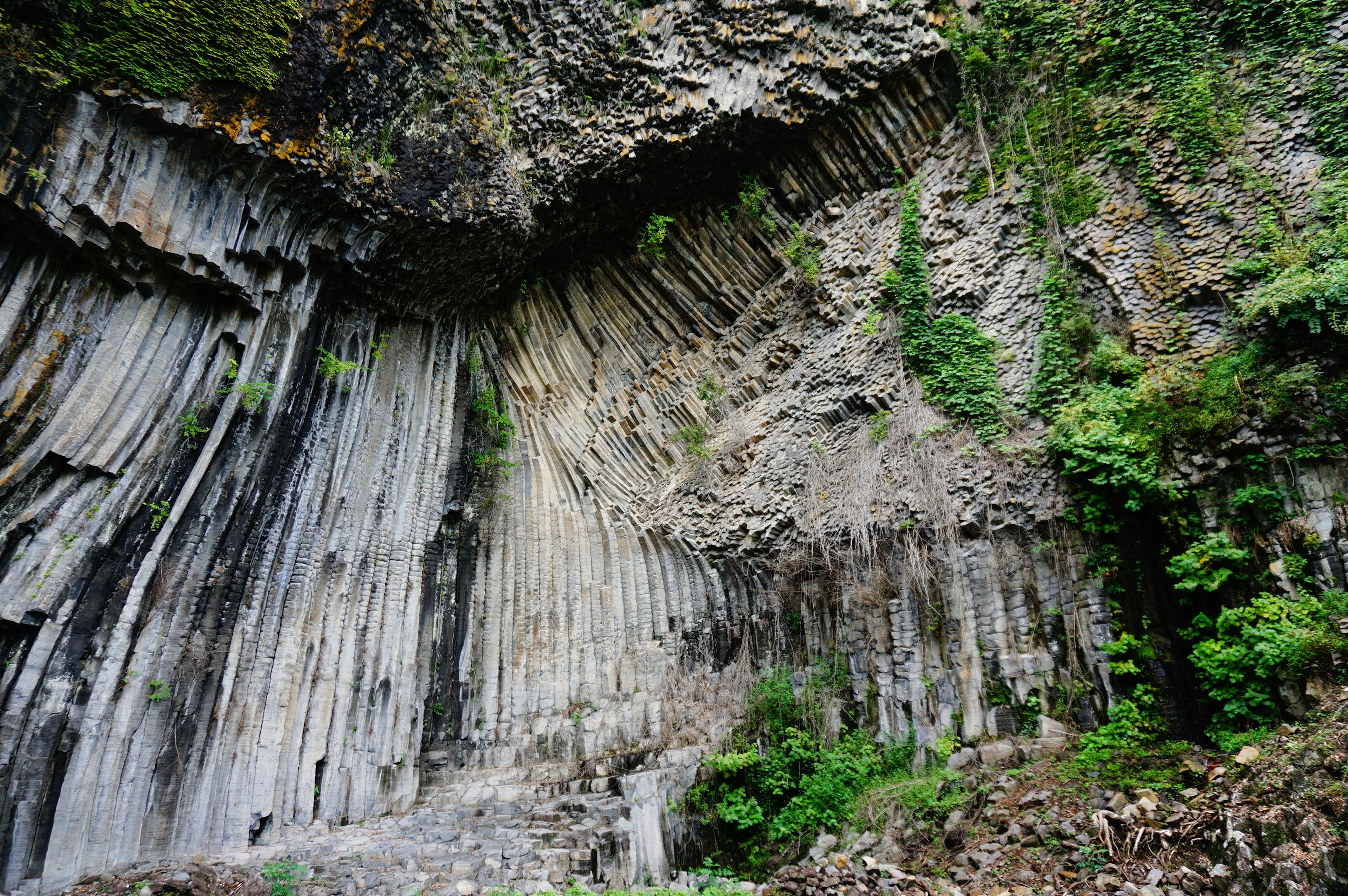 Paysage naturel avec un mur de roche rayé et une végétation verte