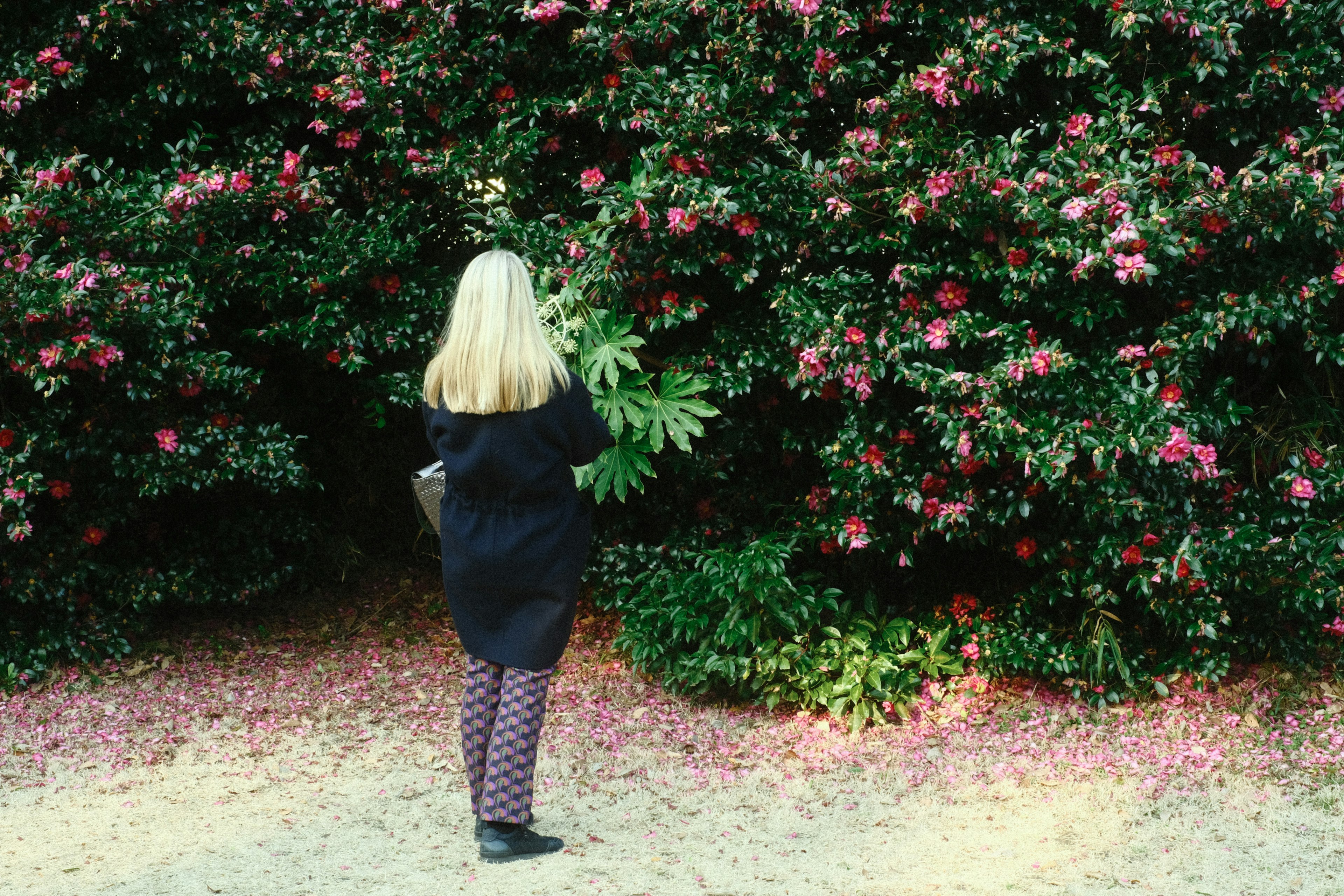 A woman standing in a garden surrounded by blooming flowers