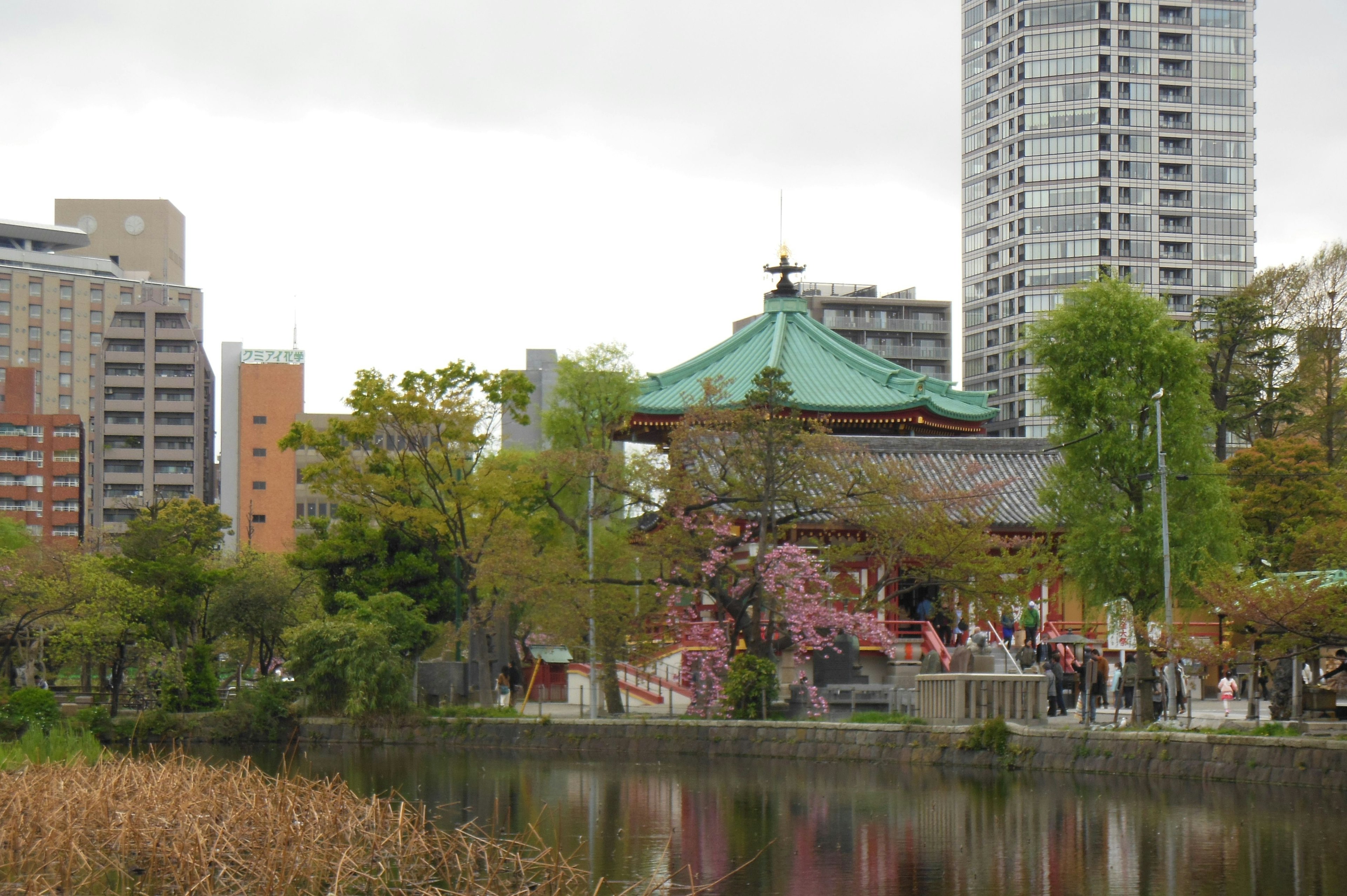 公園の池の近くにある伝統的な日本の寺院と現代のビル