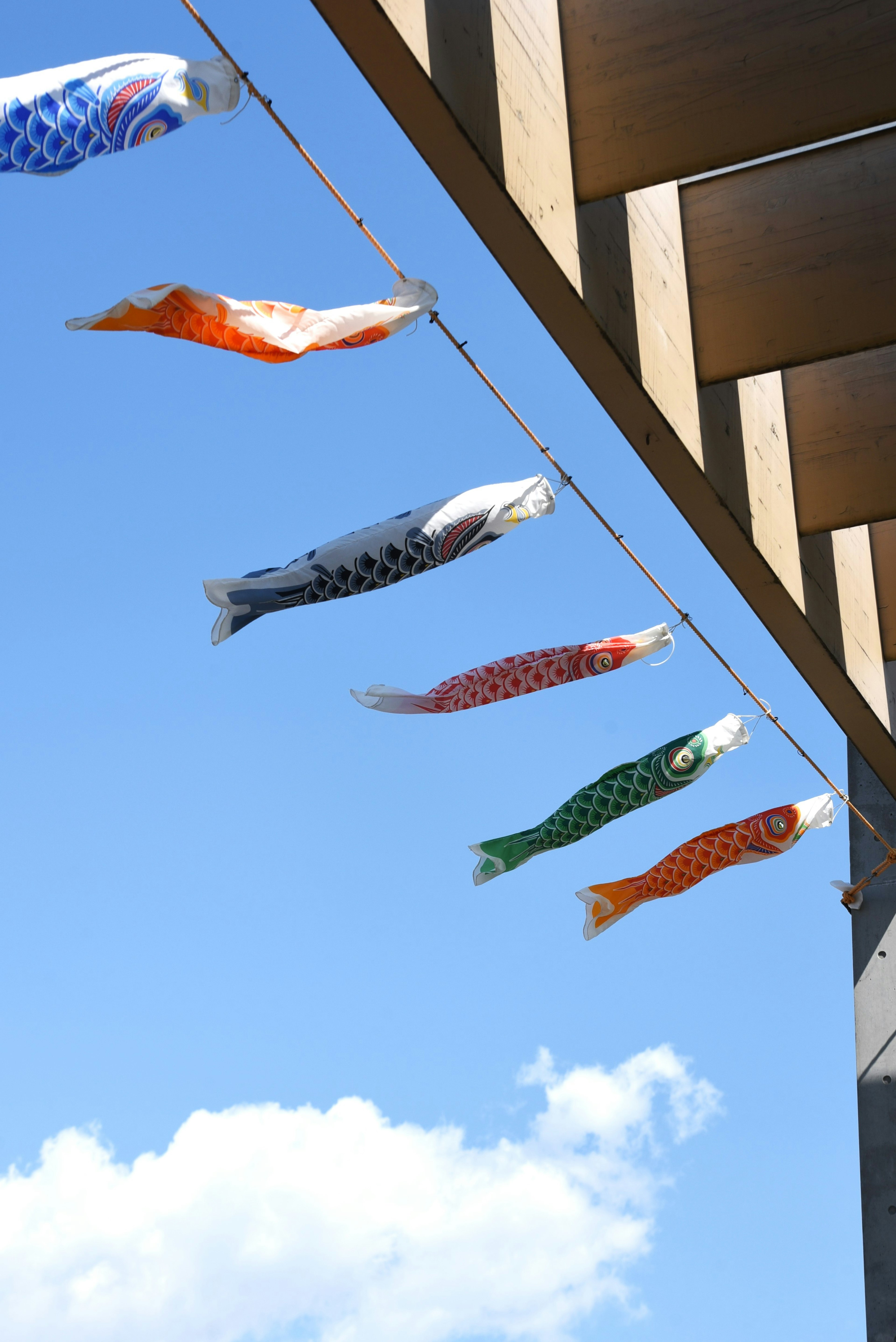 Bendera ikan koi berwarna-warni tergantung di bawah langit biru