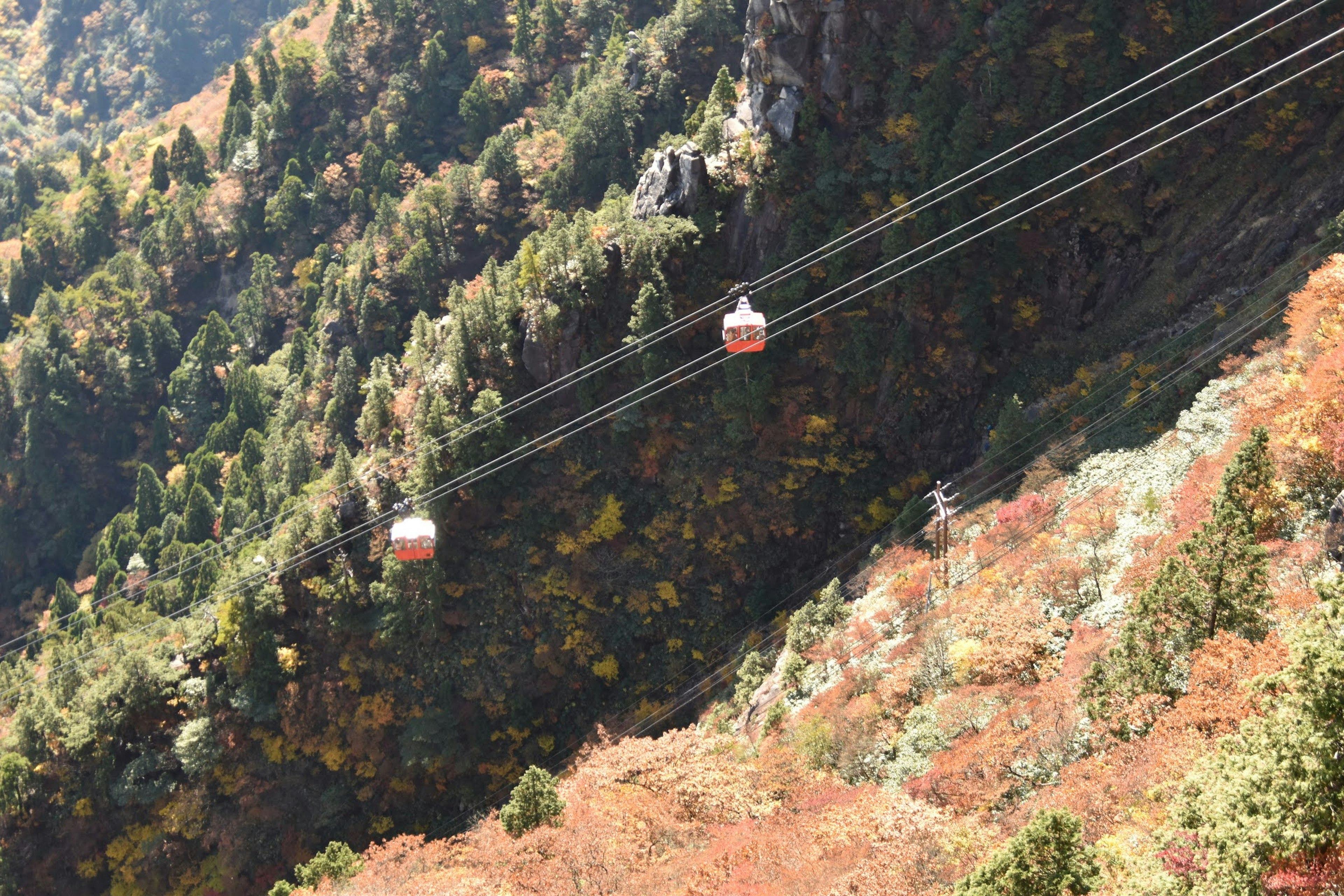 Teleféricos deslizándose sobre montañas con follaje otoñal