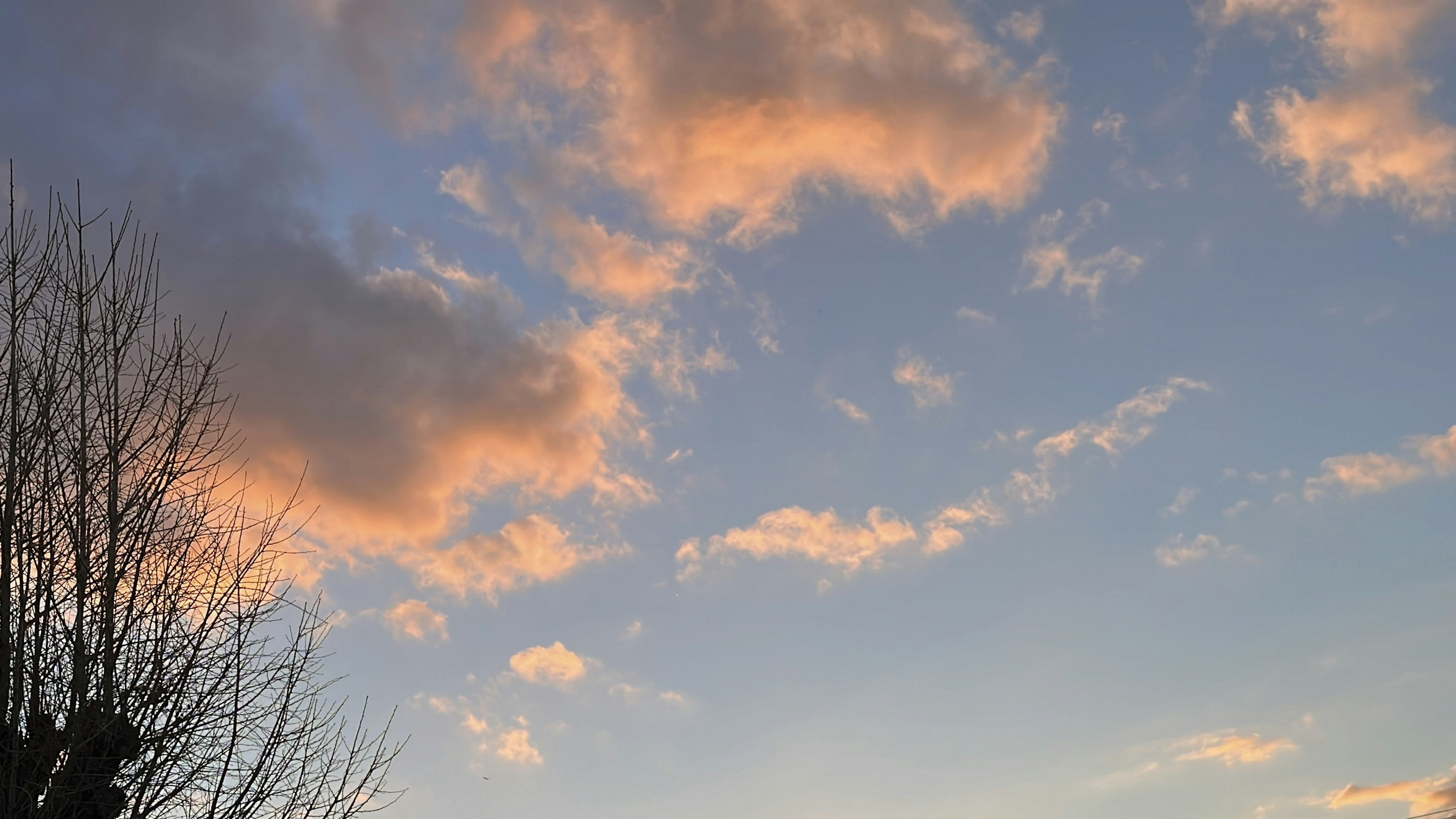 Nuvole arancioni che fluttuano nel cielo blu con silhouette di un albero